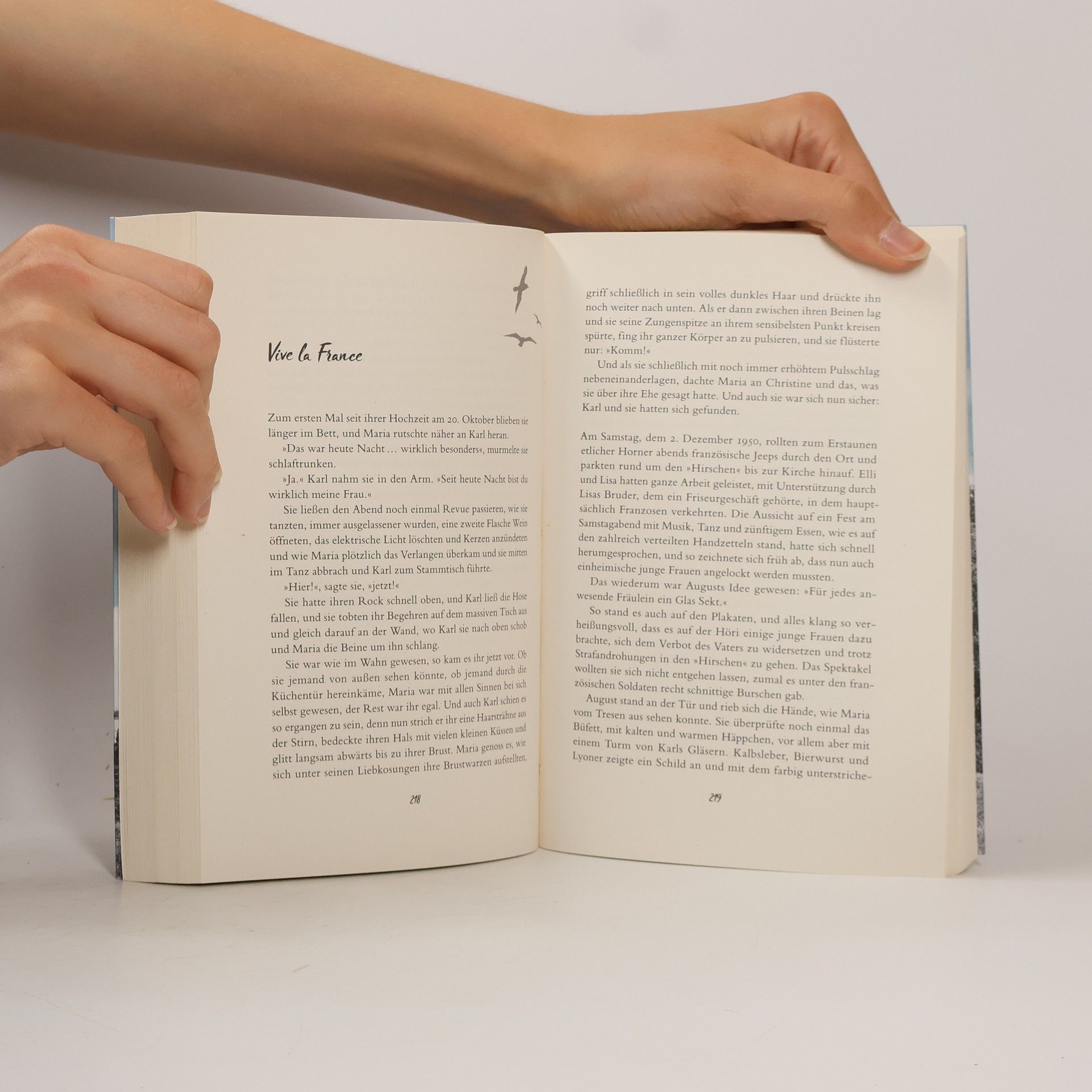 Gaby Hauptmann Traum vom besseren Leben / Die Frauen vom See Bd.2