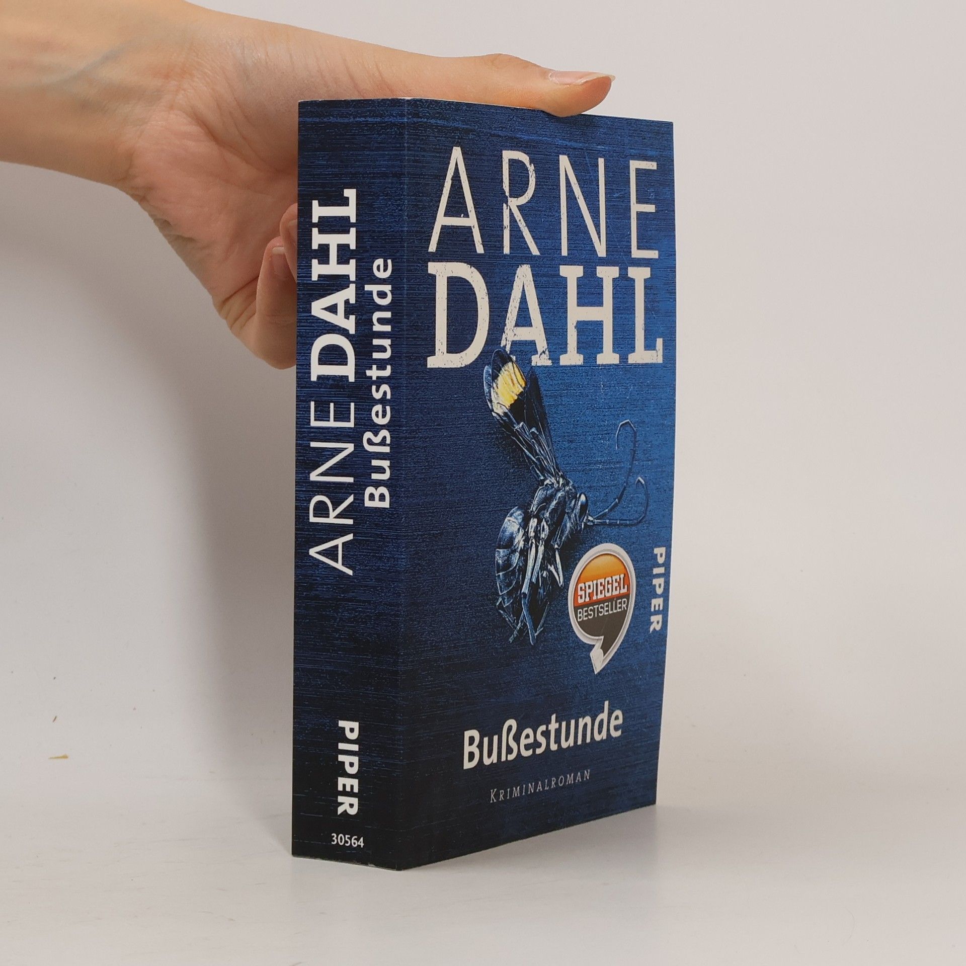 Arne Dahl Bußestunde