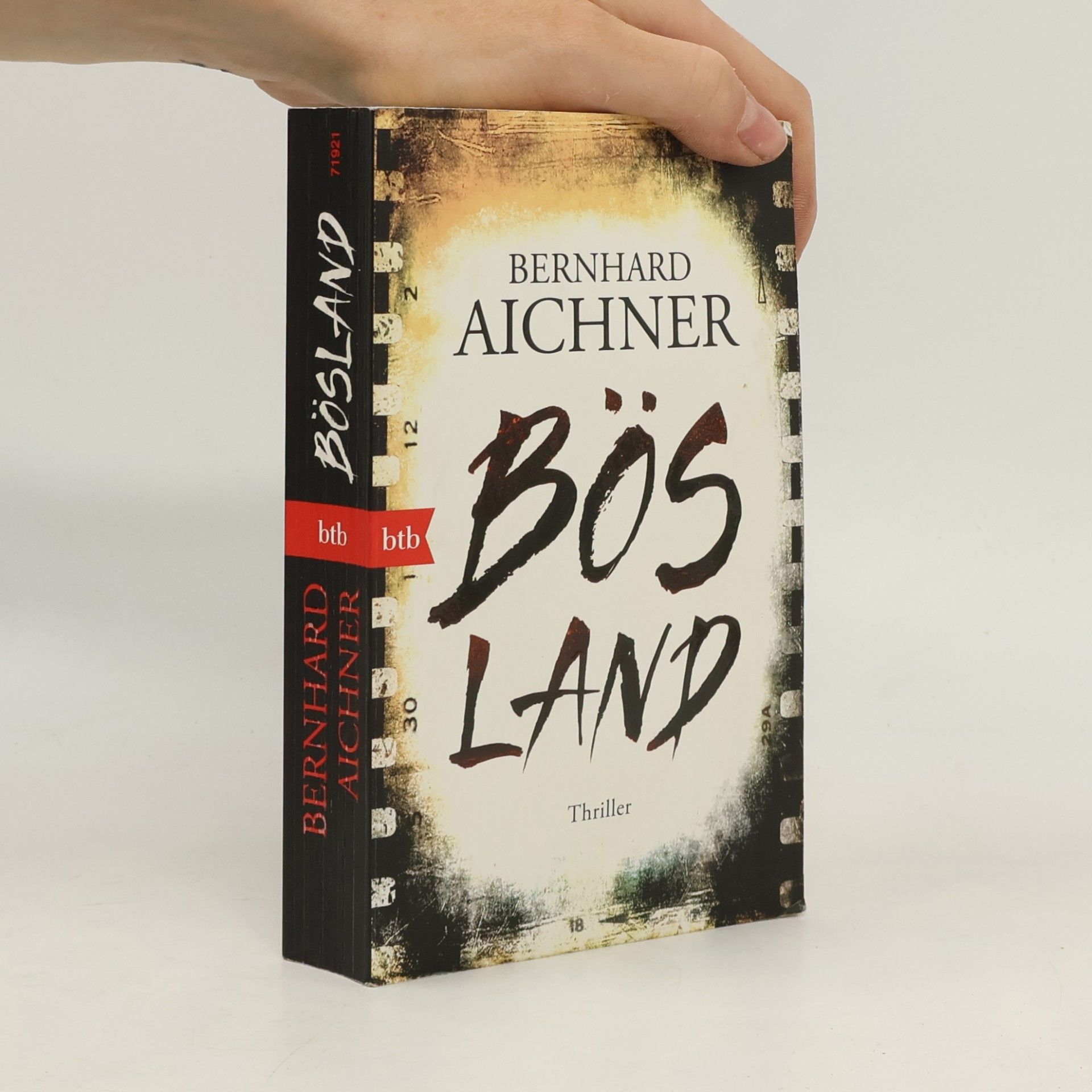 Bernhard Aichner Bösland