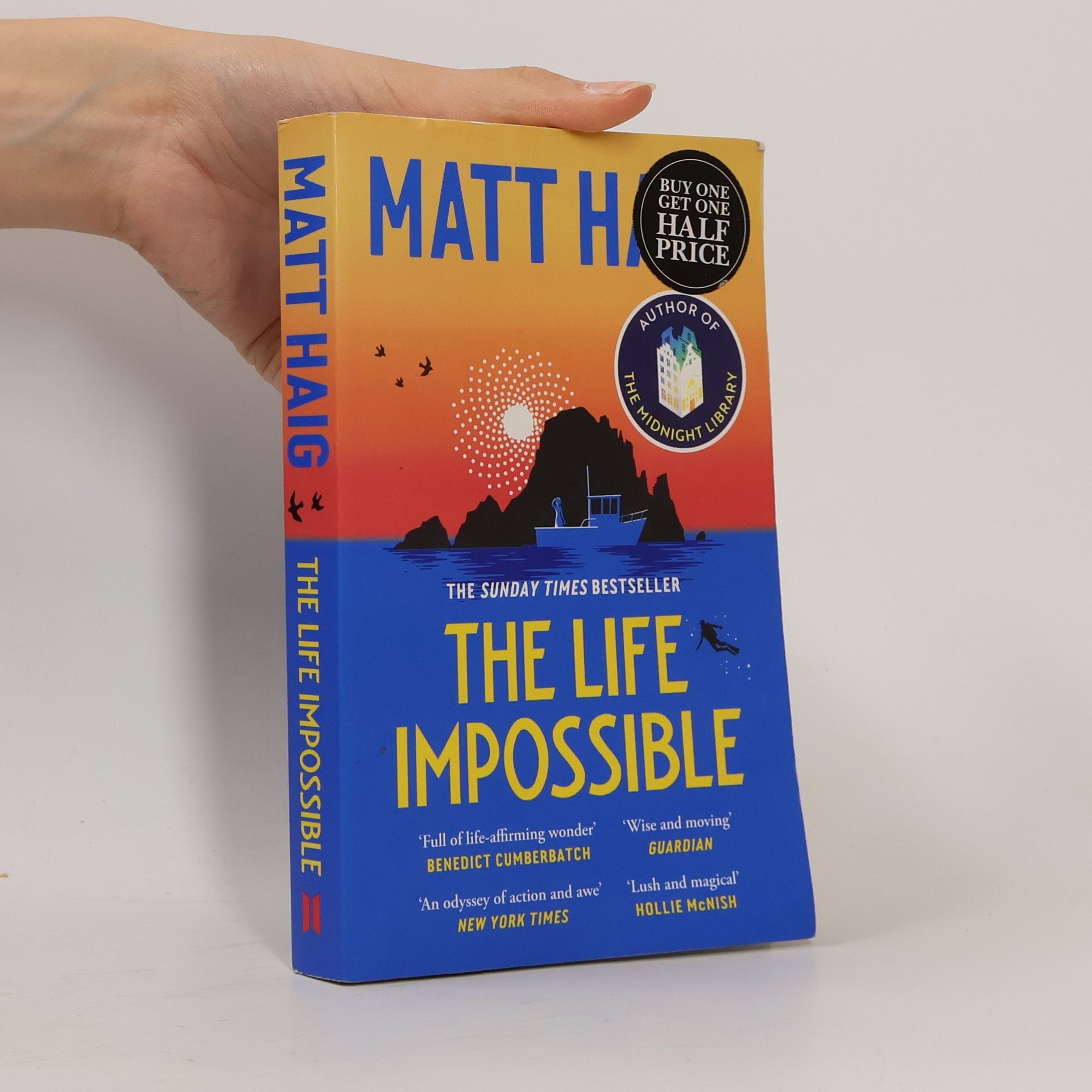 Matt Haig The Life Impossible