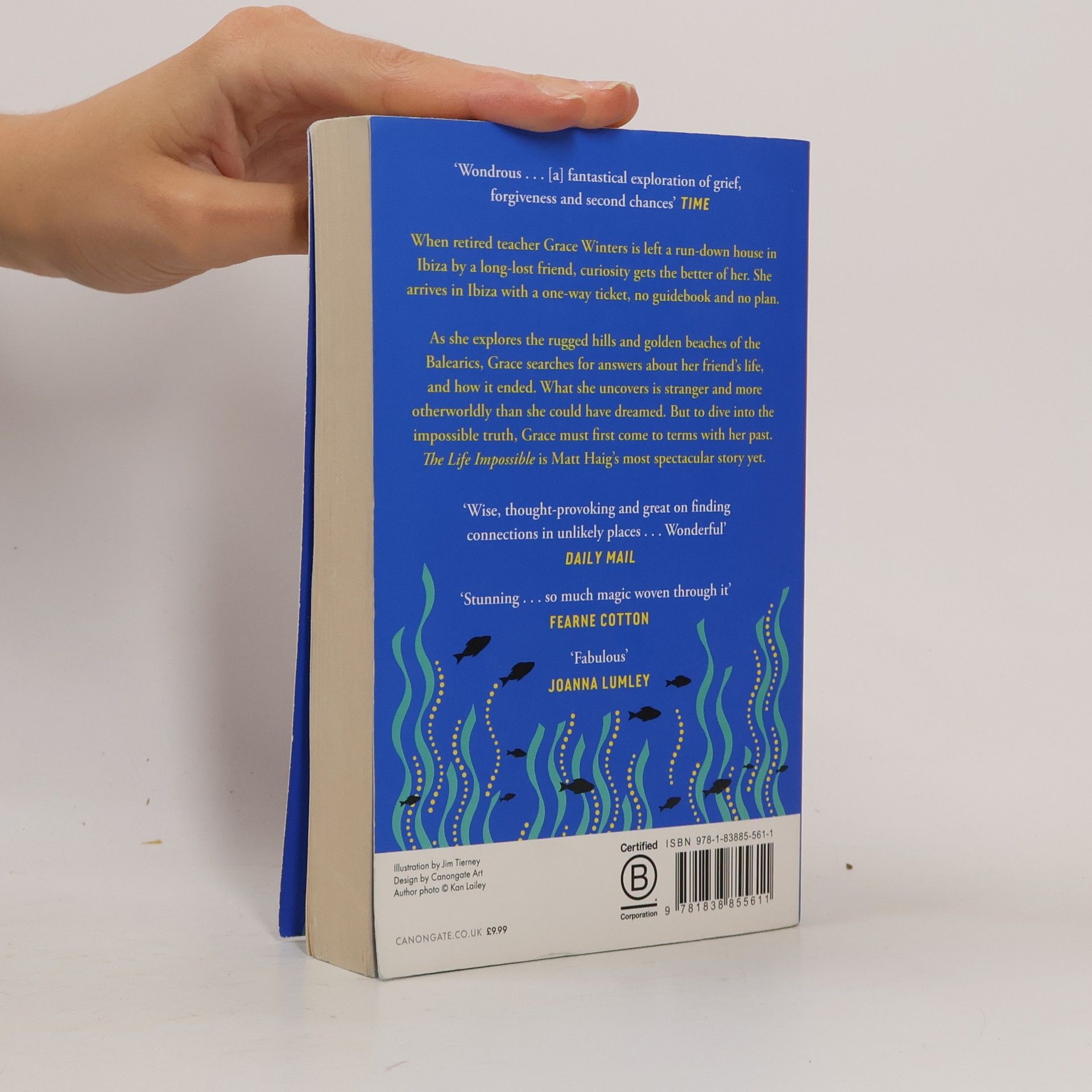 Matt Haig The Life Impossible