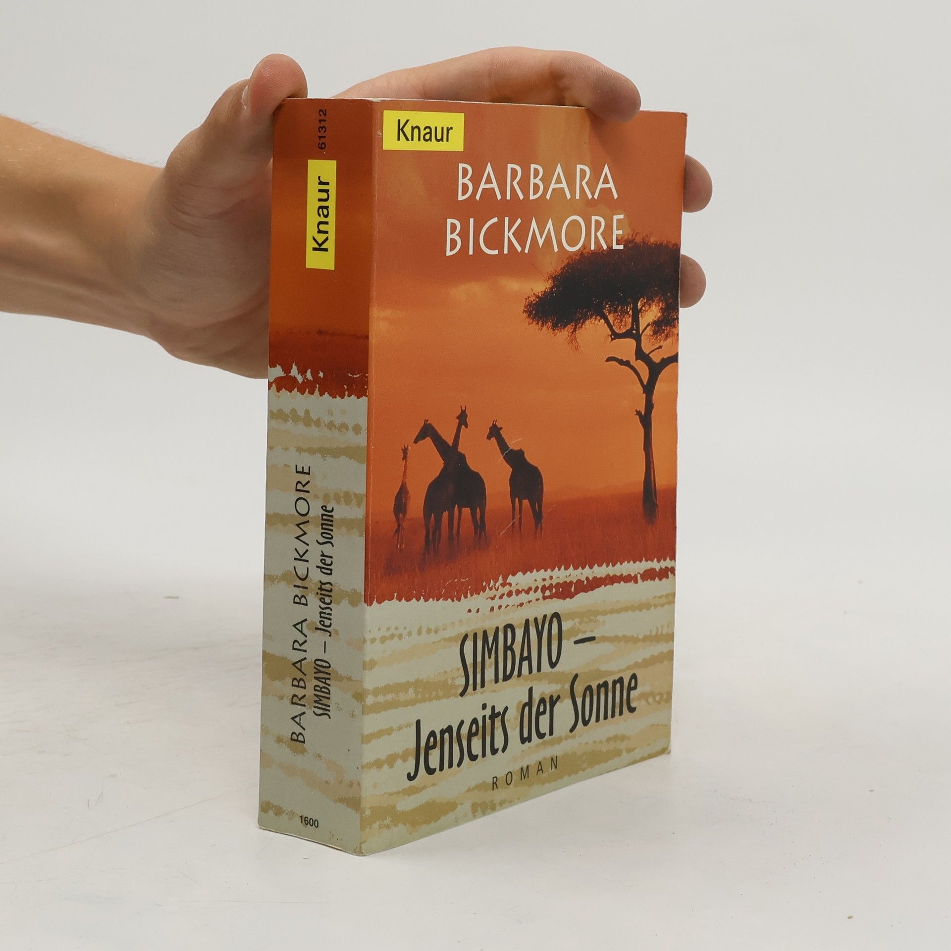 Barbara Bickmore Simbayo - jenseits der Sonne