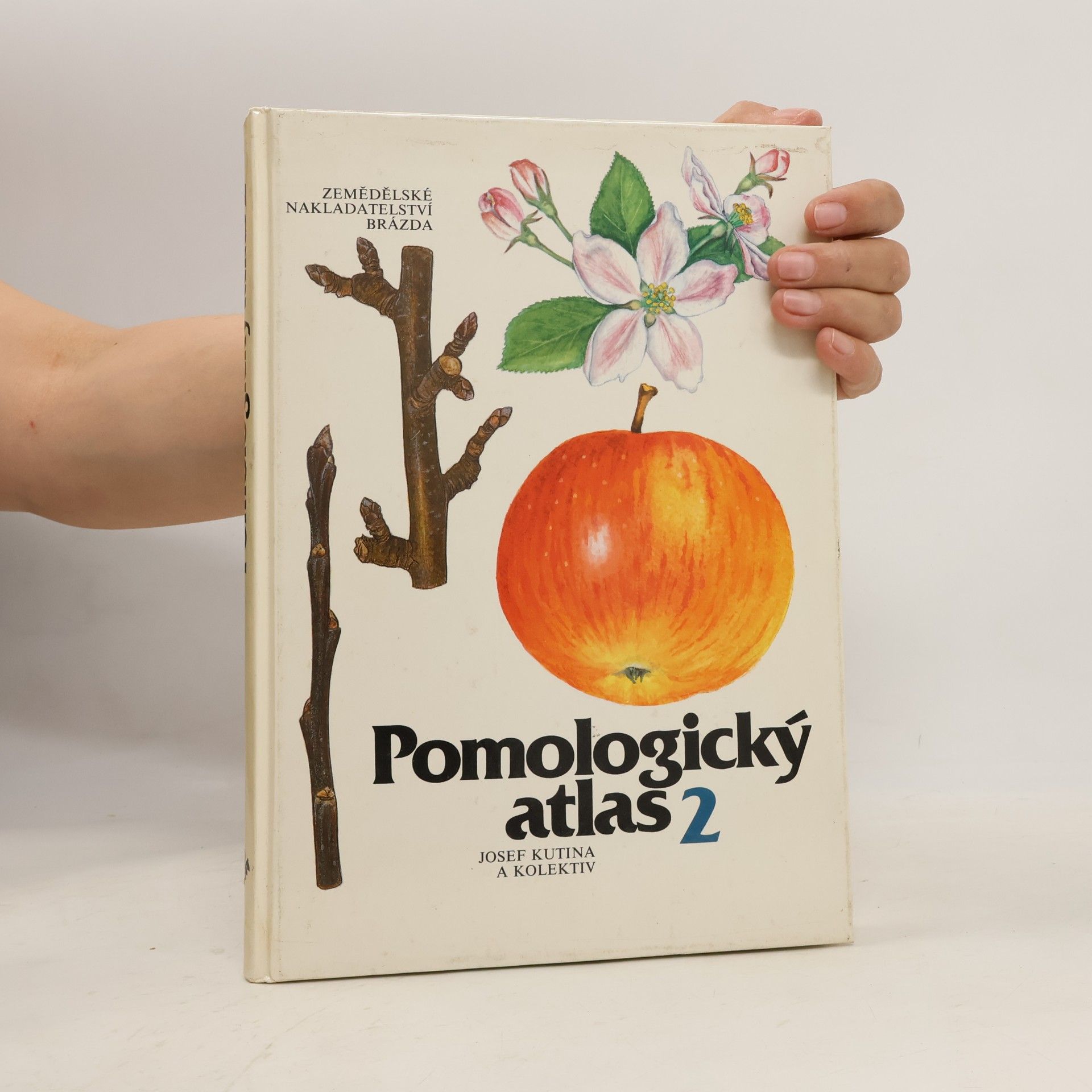 Autorenkollektiv Pomologický atlas 2