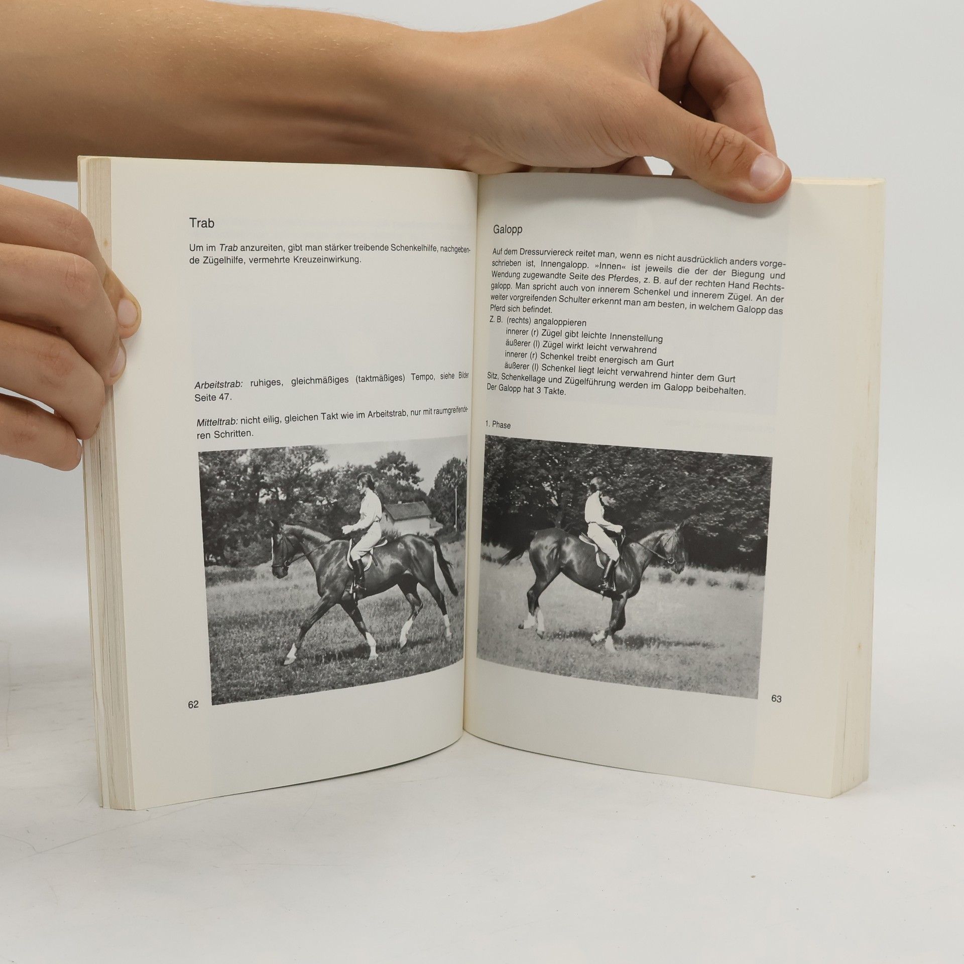 Ute Richter Reiten im Bild