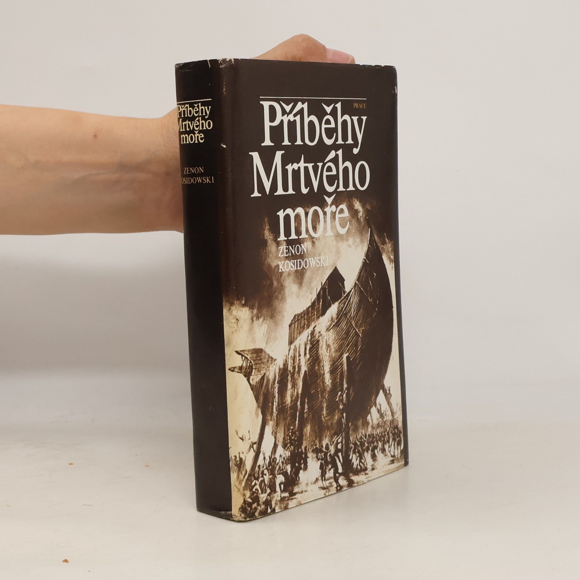 Zenon Kosidowski Příběhy Mrtvého moře