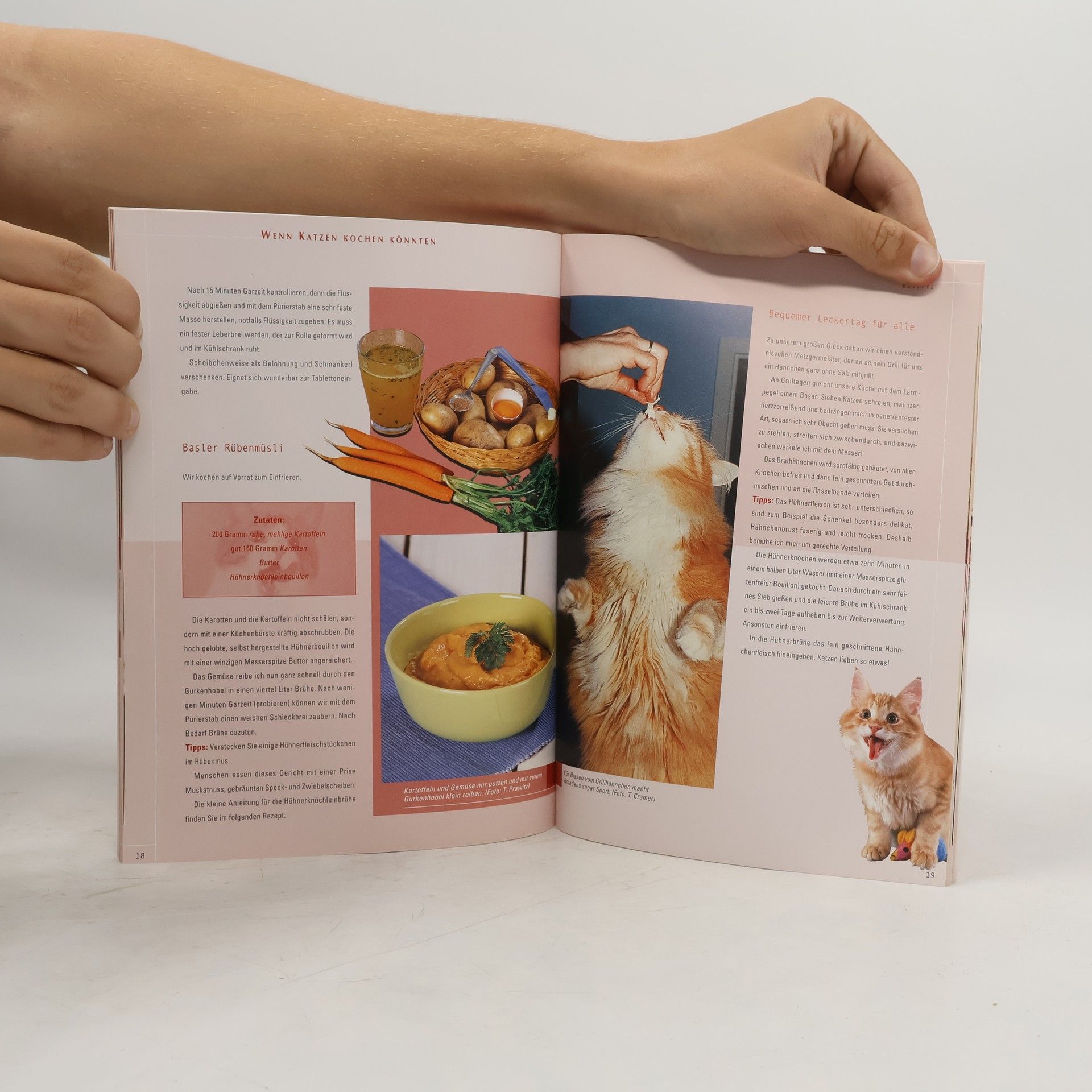 Traute Cramer Wenn Katzen kochen könnten