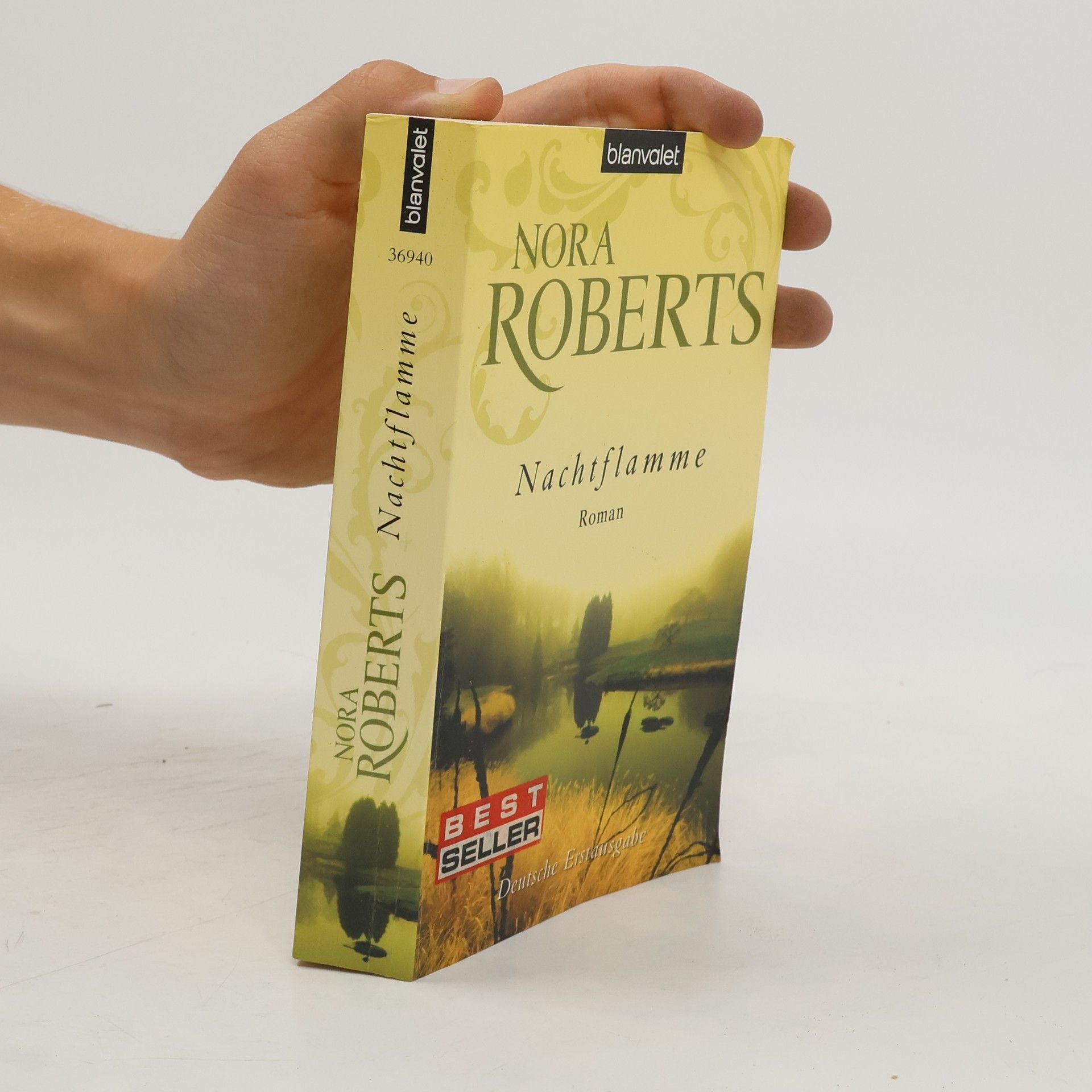 Nora Roberts Nachtflamme