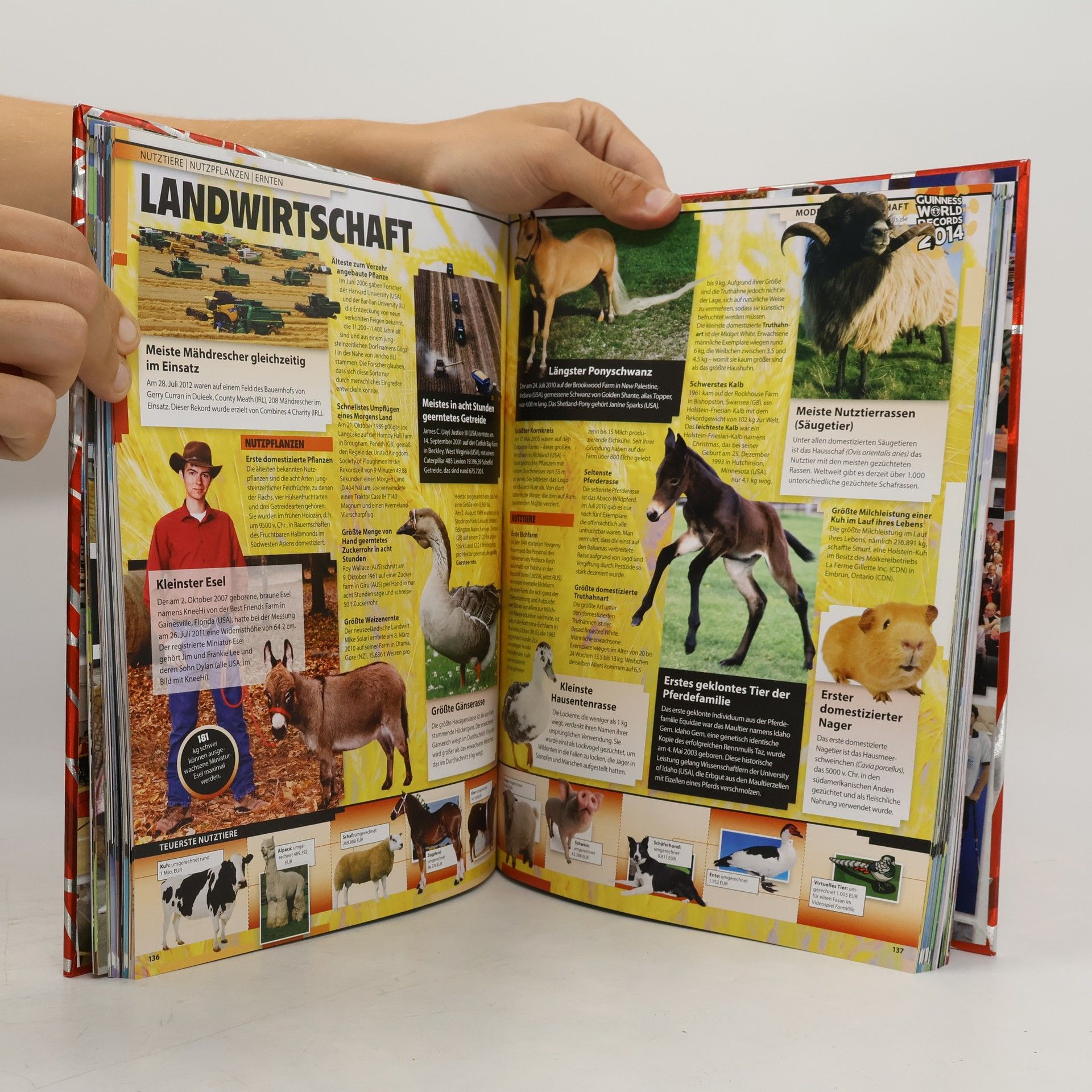Autorenkollektiv Guinness World Records Buch 2014