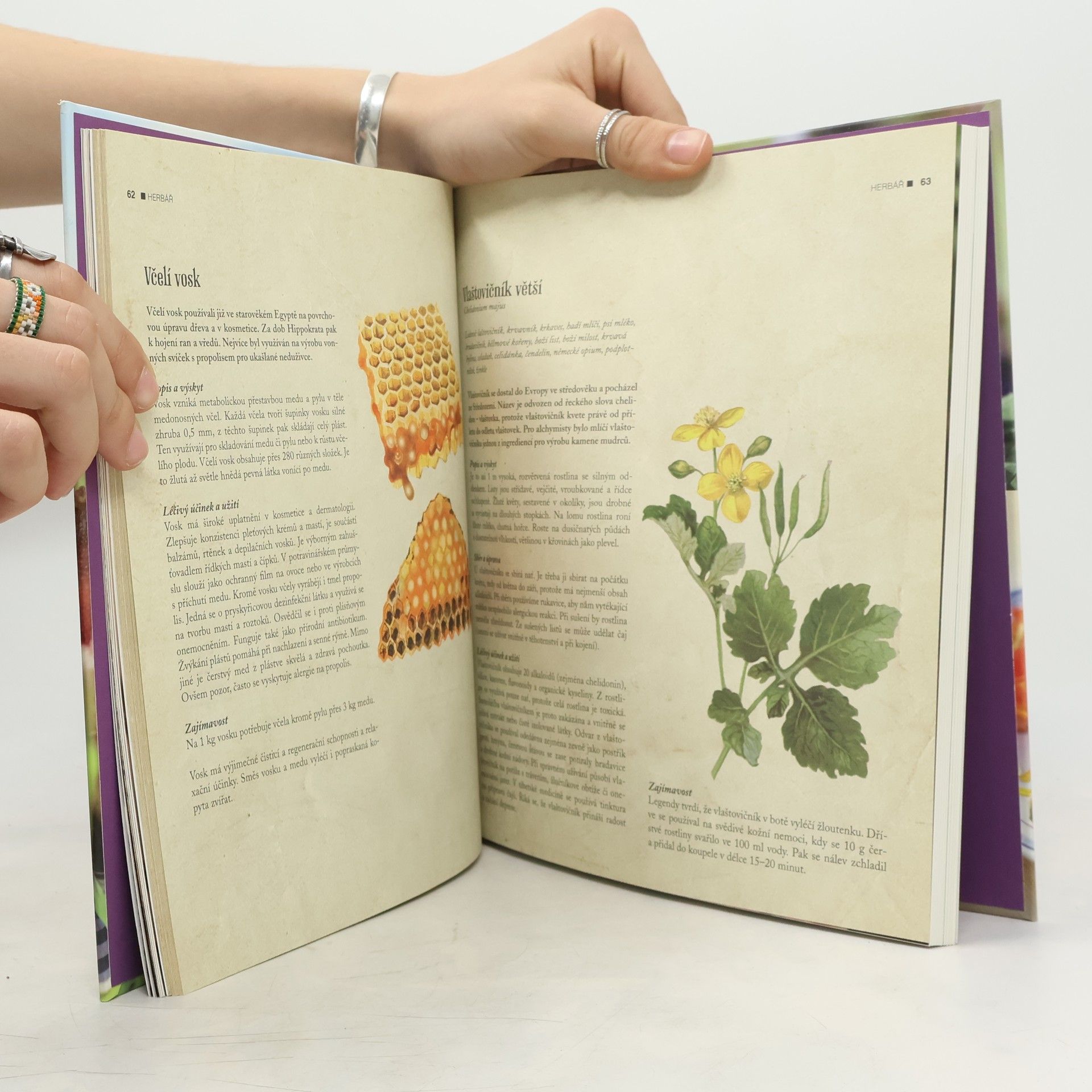 Kateřina Winterová Vaříme podle Herbáře