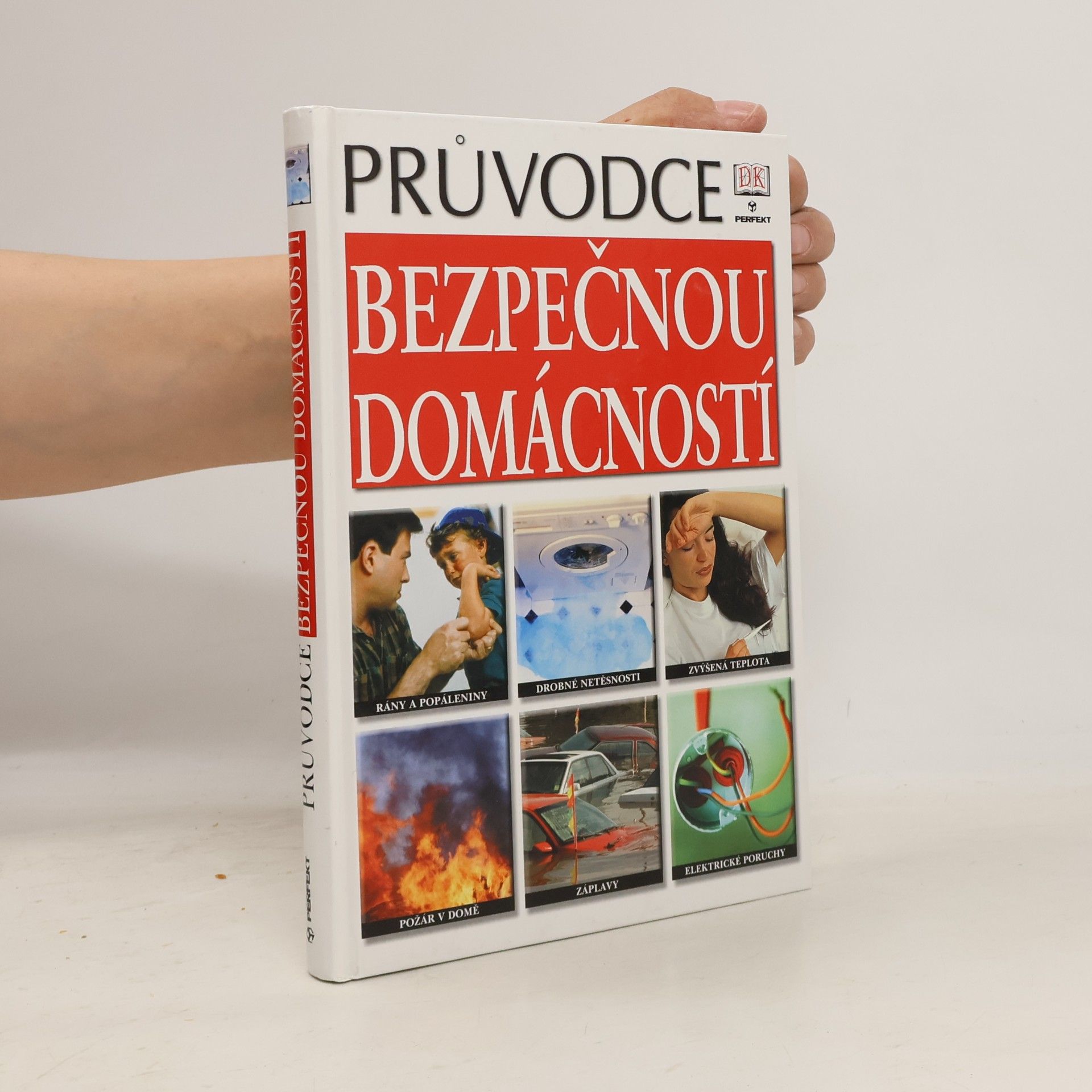 David Ashby Průvodce bezpečnou domácností