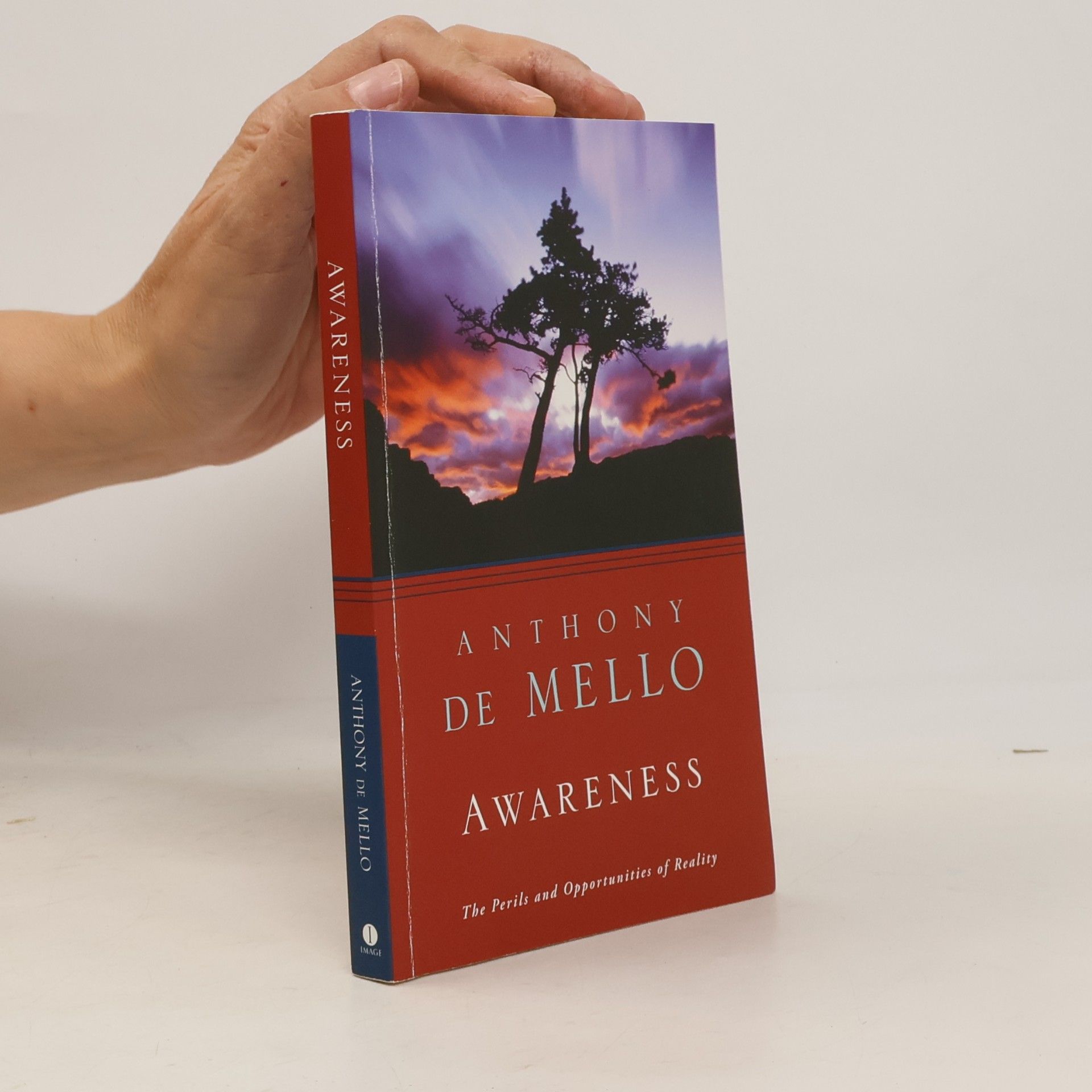 Anthony De Mello Awareness