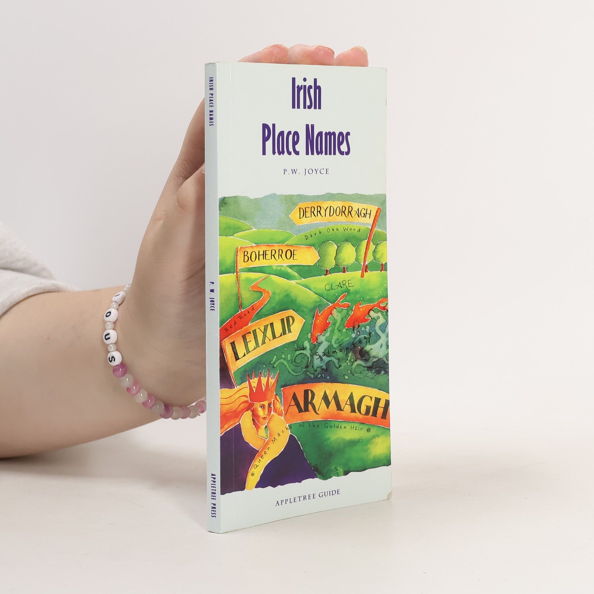 Patrick Weston Joyce Pocket Guide to Irish Place Names