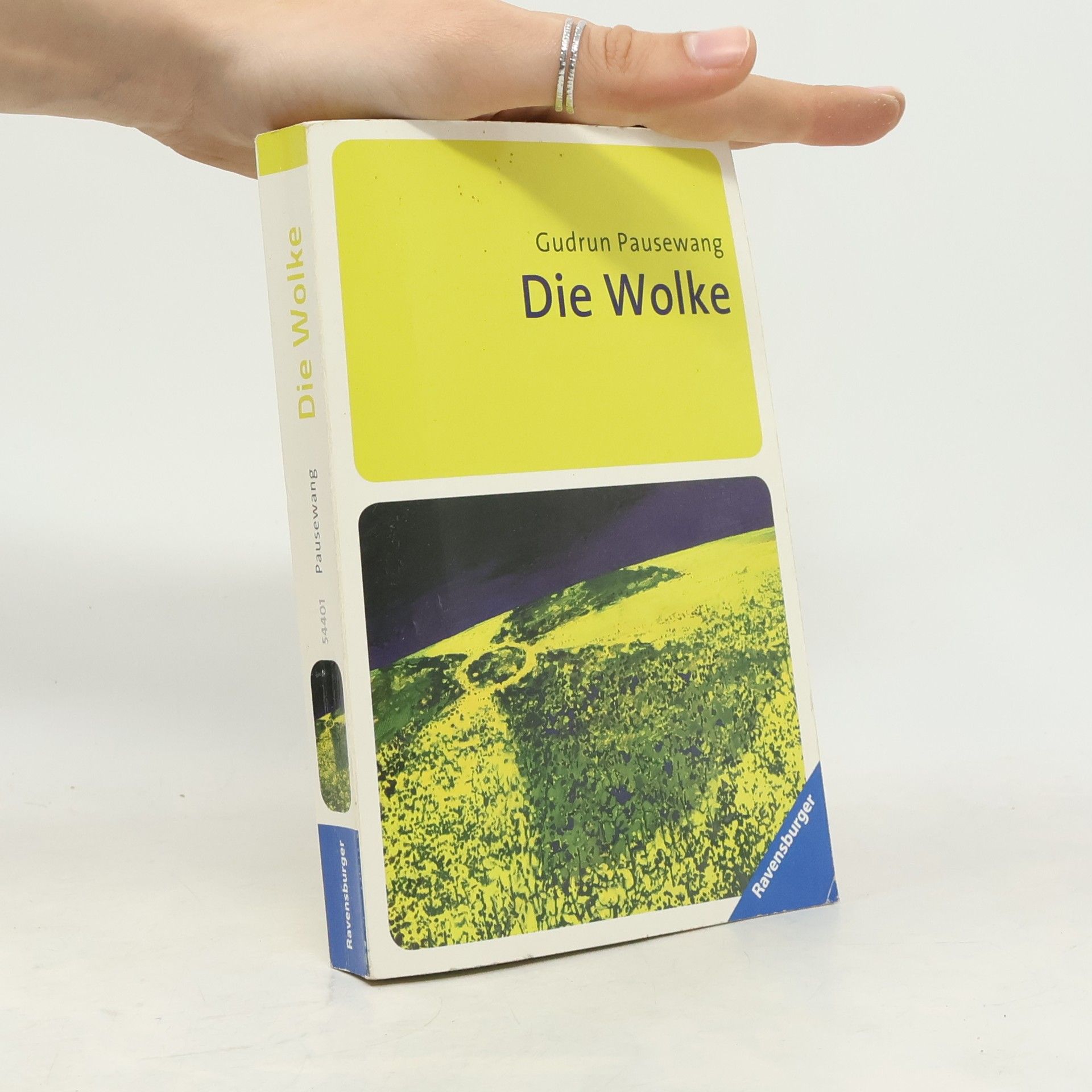 Gudrun Pausewang Die Wolke