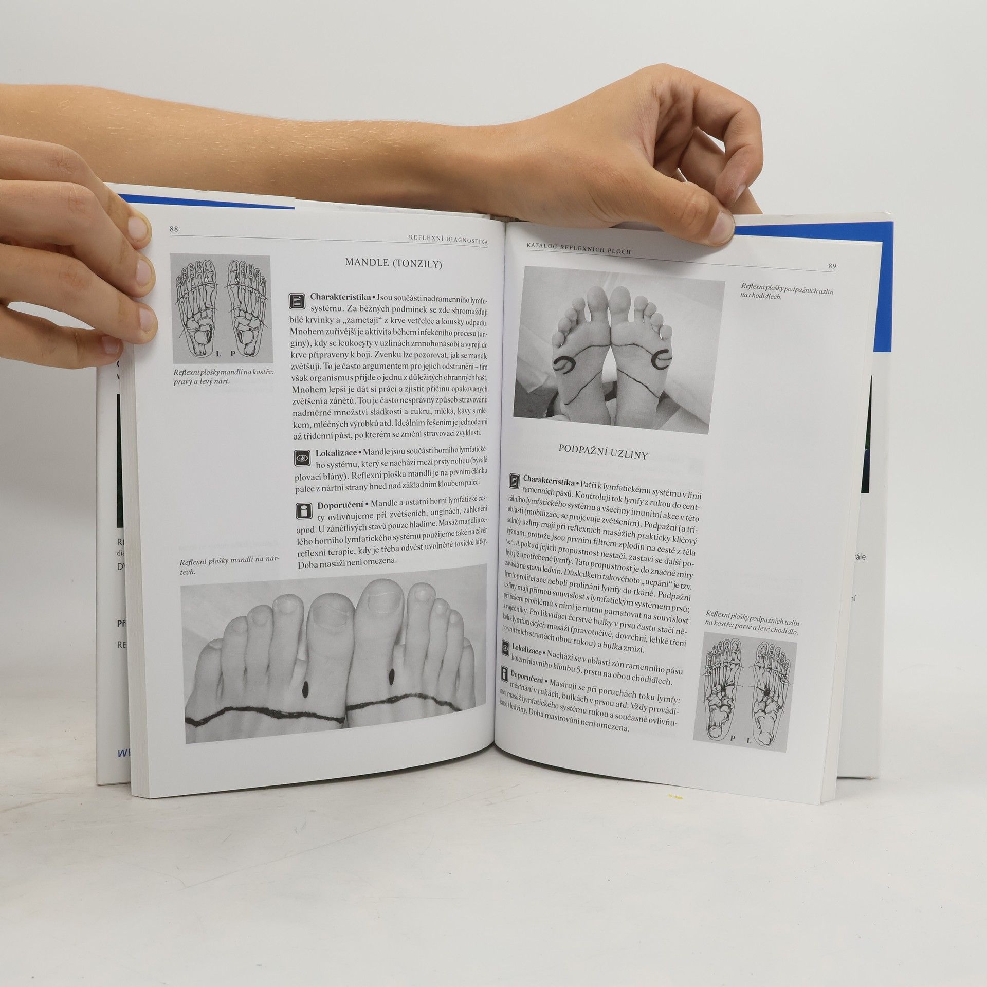 Beáta Patakyová Reflexní diagnostika a katalog reflexních ploch