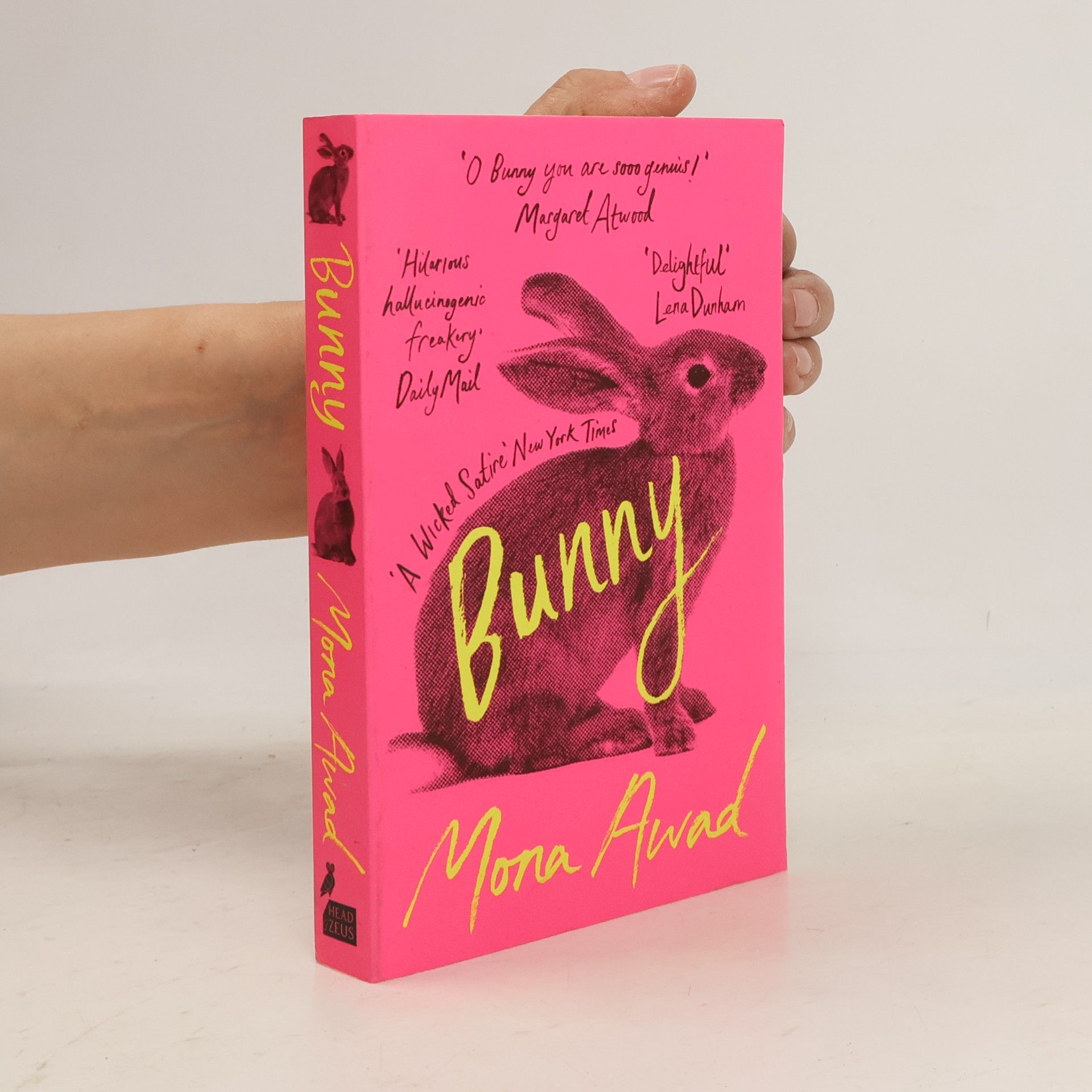 Mona Awad Bunny
