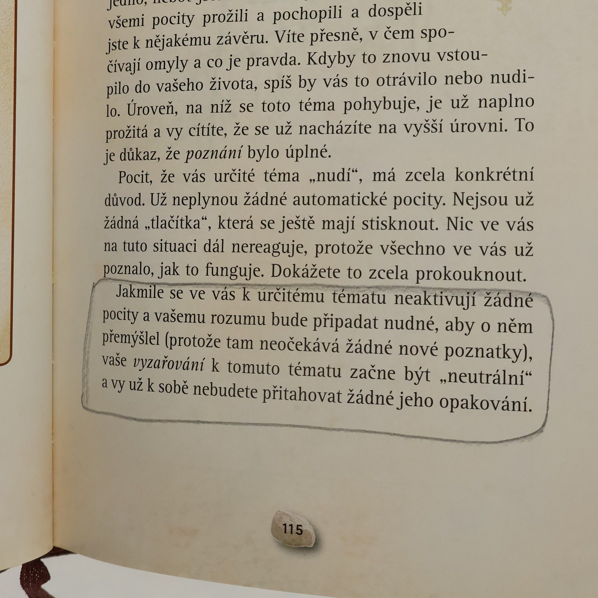 Ruediger Schache Tajemství plánu vašeho života
