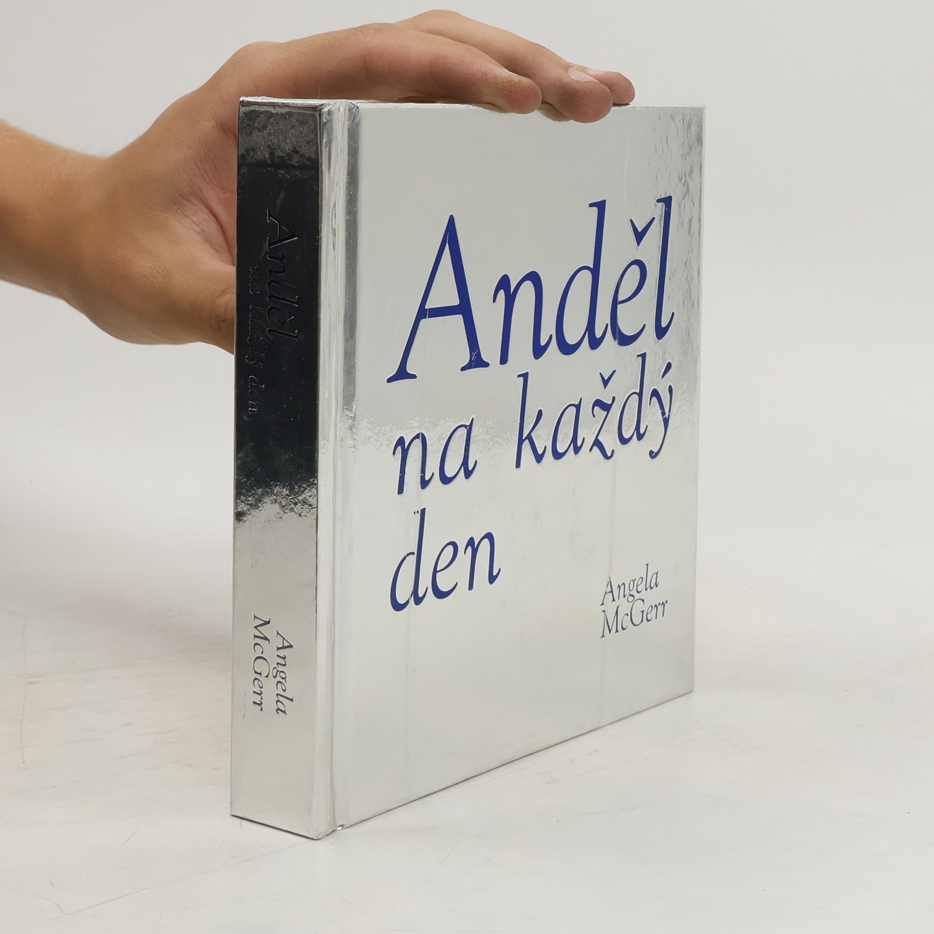 Angela McGerr Anděl na každý den