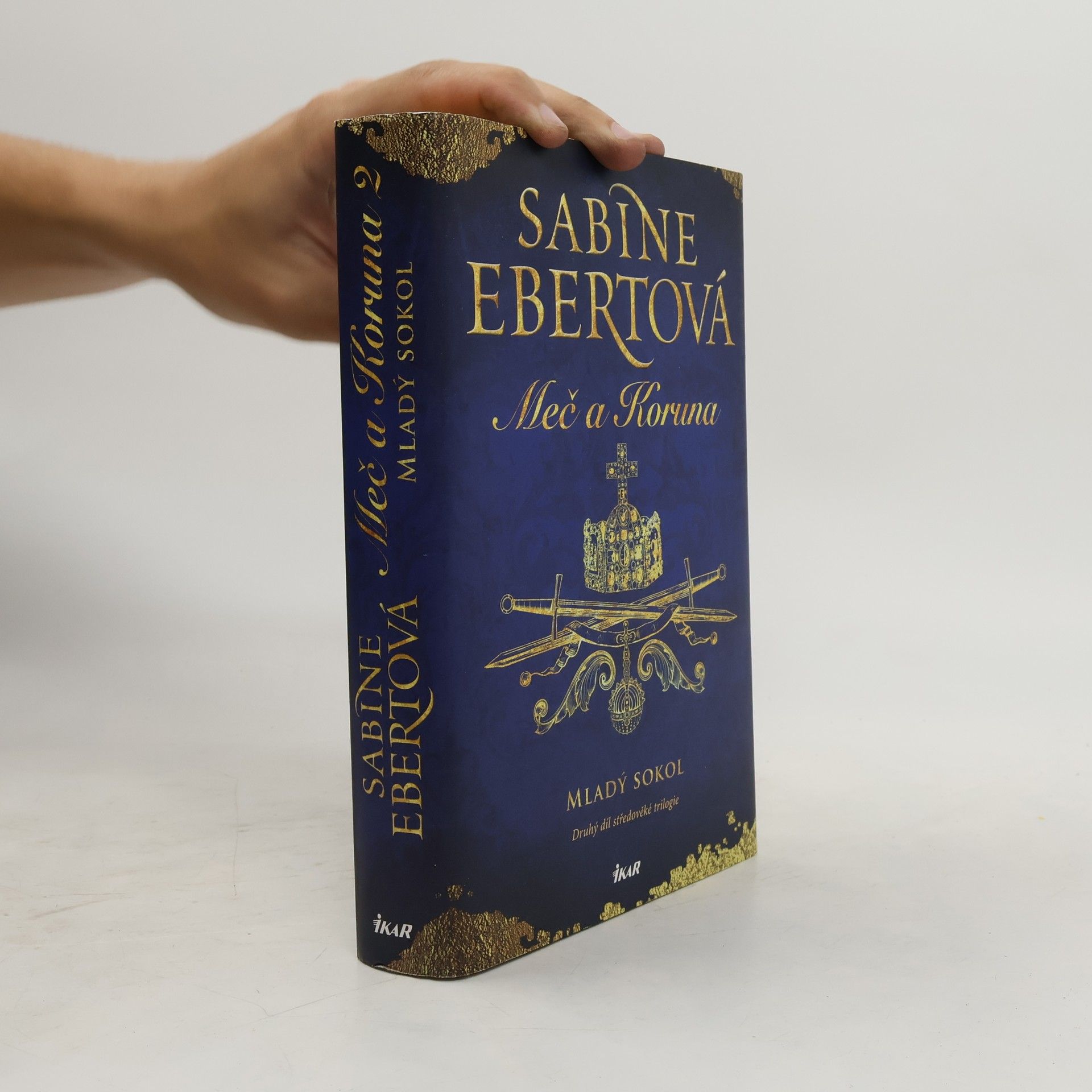 Sabine Ebert Meč a Koruna. Mladý sokol
