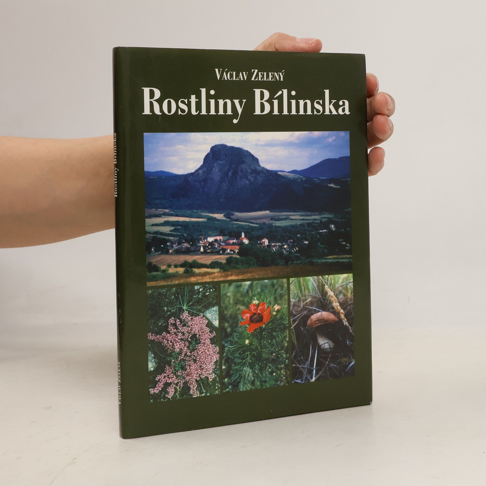 Václav Zelený Rostliny Bílinska