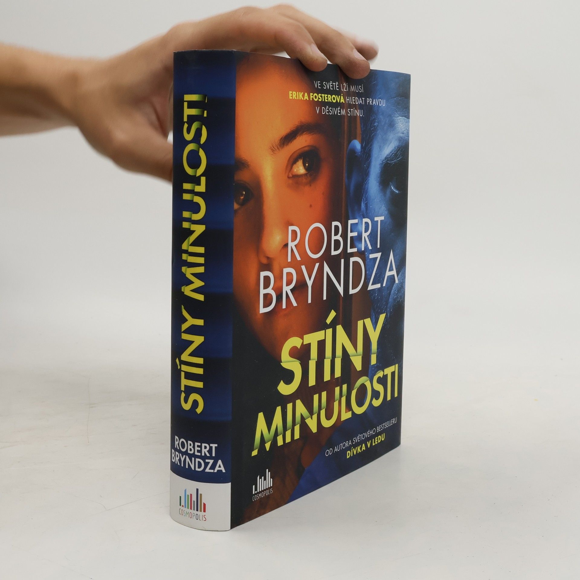 Robert Bryndza Stíny minulosti