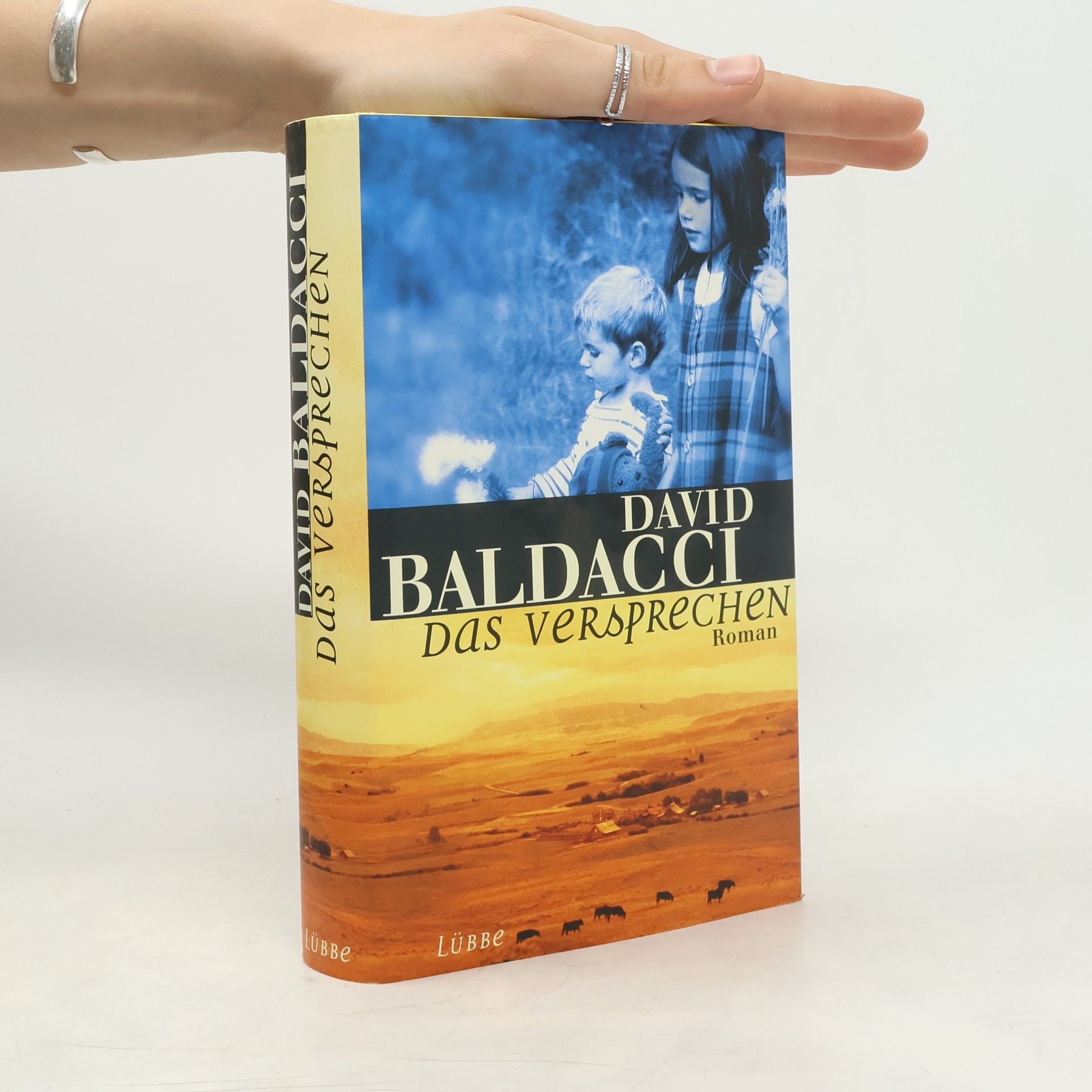 David Baldacci Das Versprechen