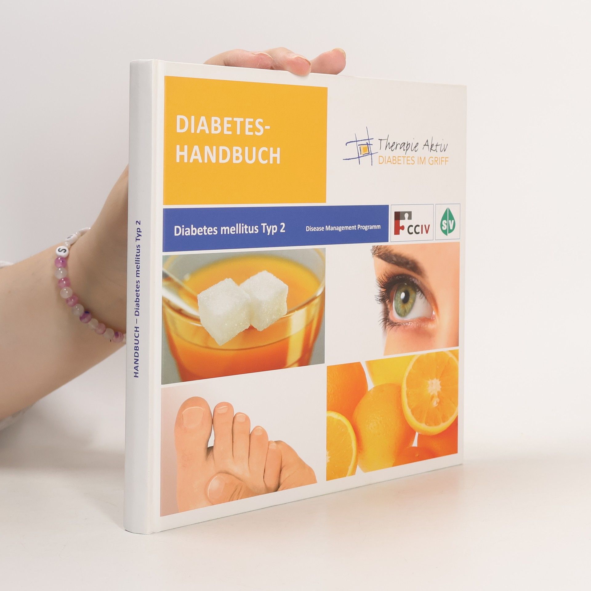 Autorenkollektiv Diabetes-Handbuch. Diabetes mellitus Typ 2