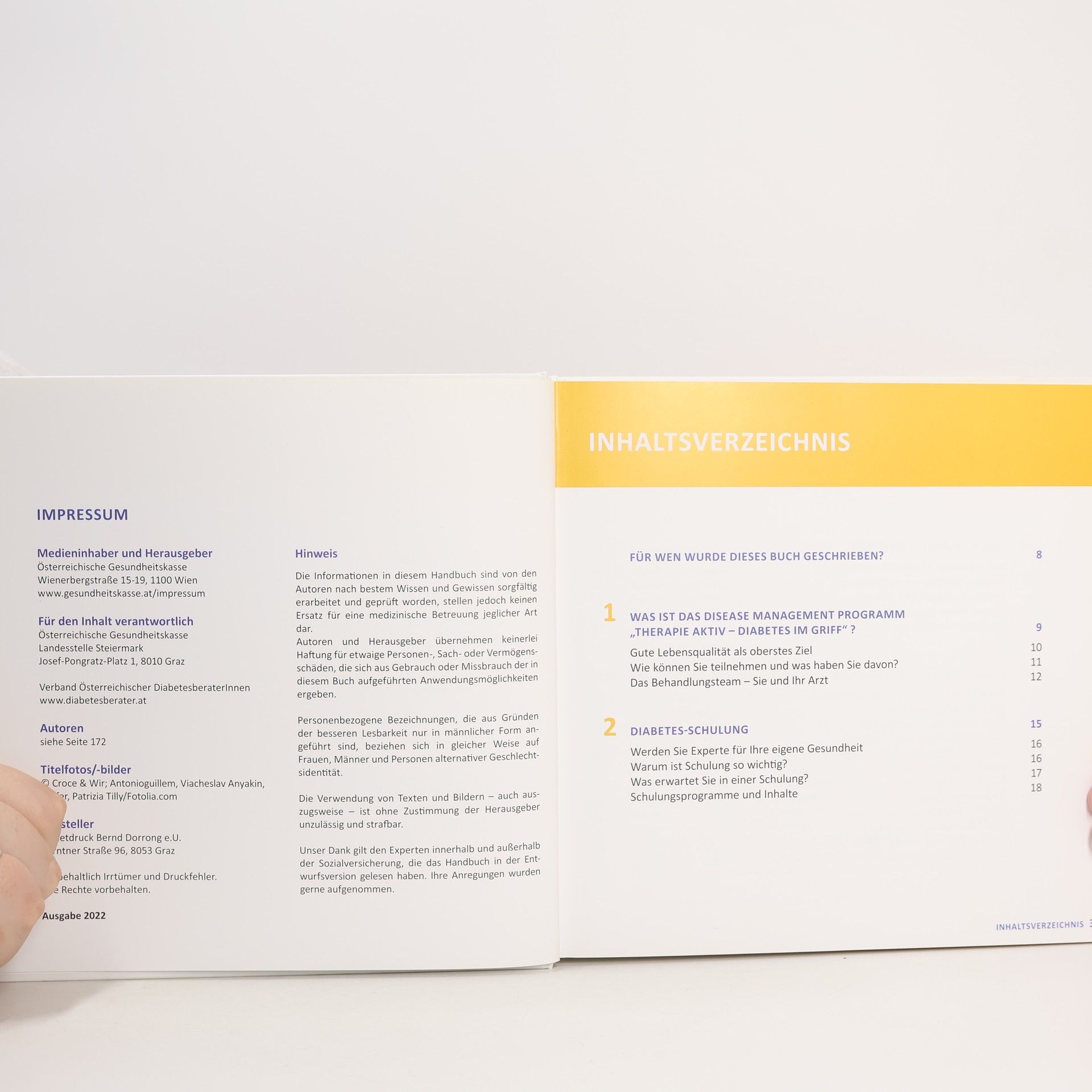 Collectif d'auteurs Diabetes-Handbuch. Diabetes mellitus Typ 2
