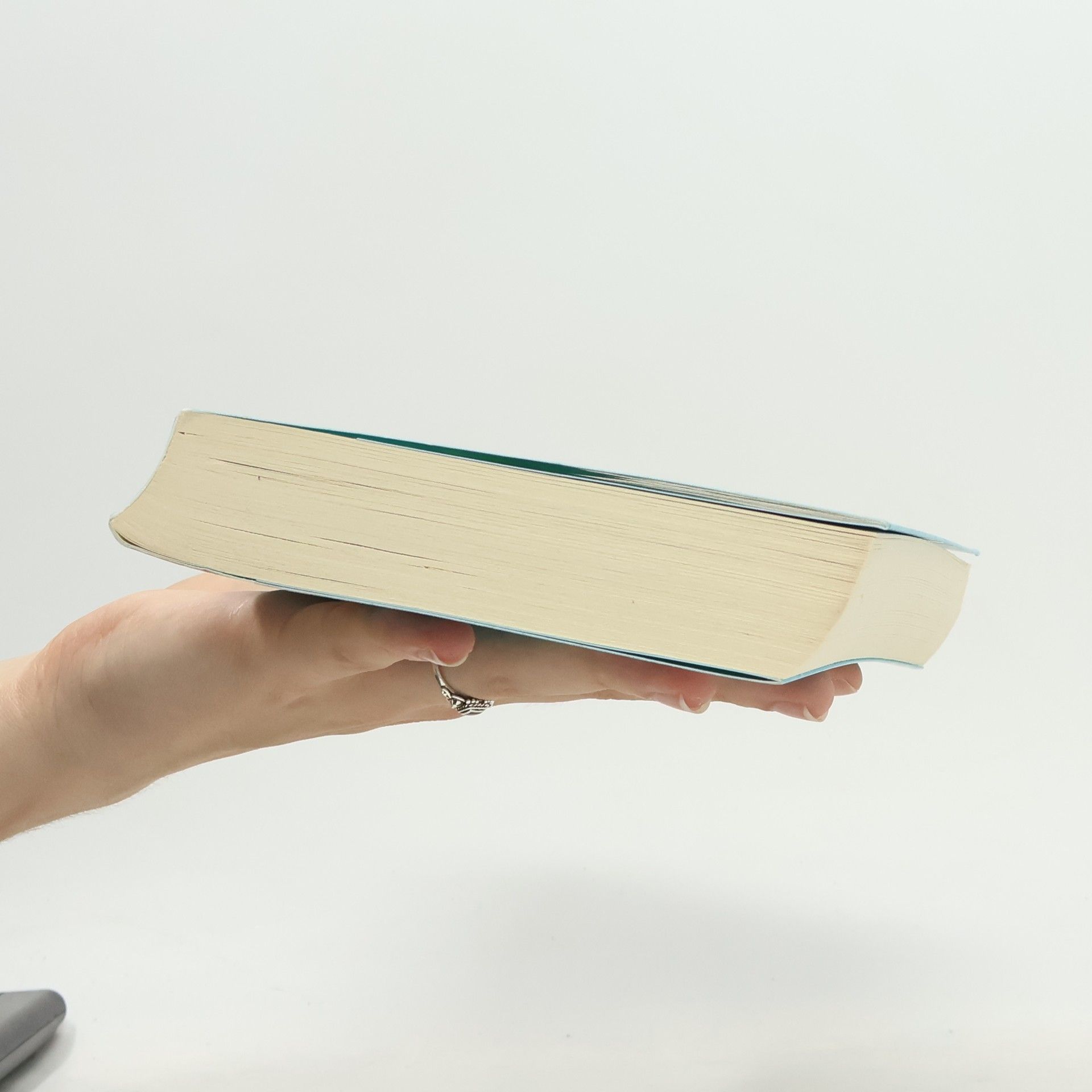 Janet Evanovich Kuss mit Soße