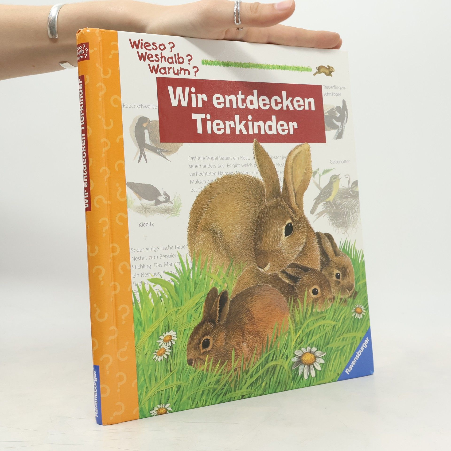 Heinz Helge Schulze Wir entdecken Tierkinder