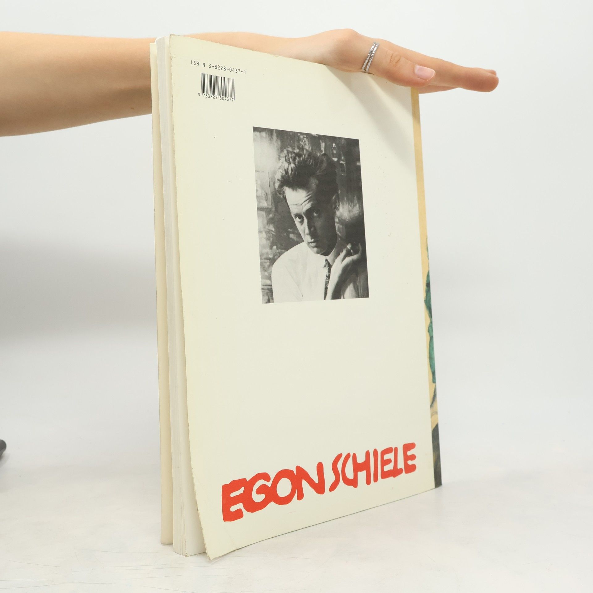 Reinhard Steiner Egon Schiele