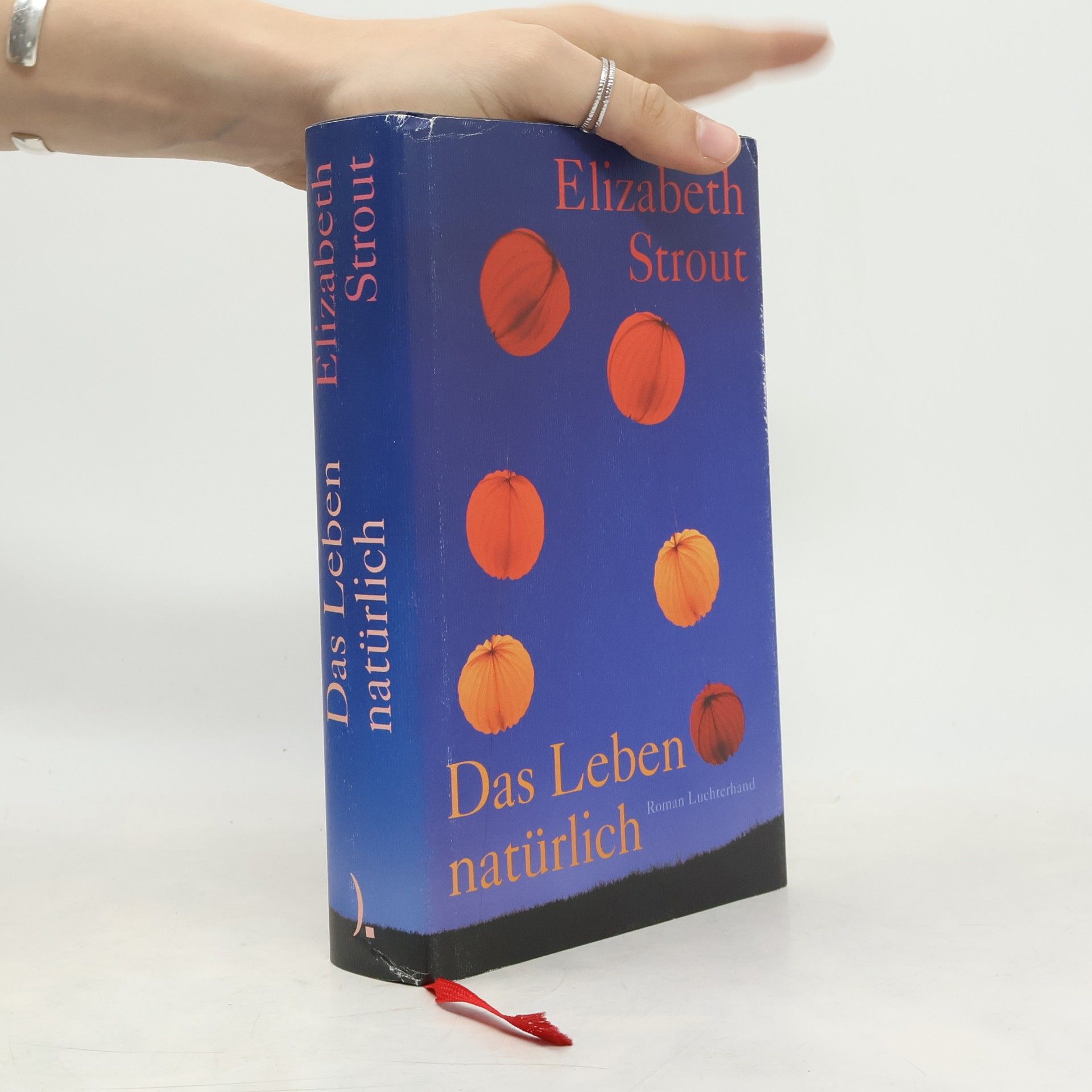 Elizabeth Strout Das Leben, natürlich