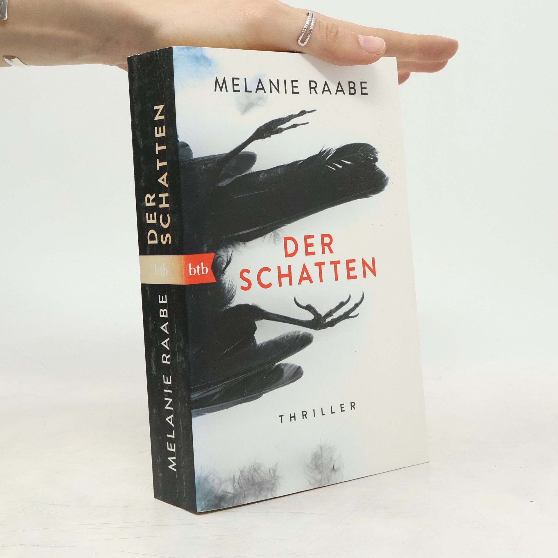 Melanie Raabe Der Schatten