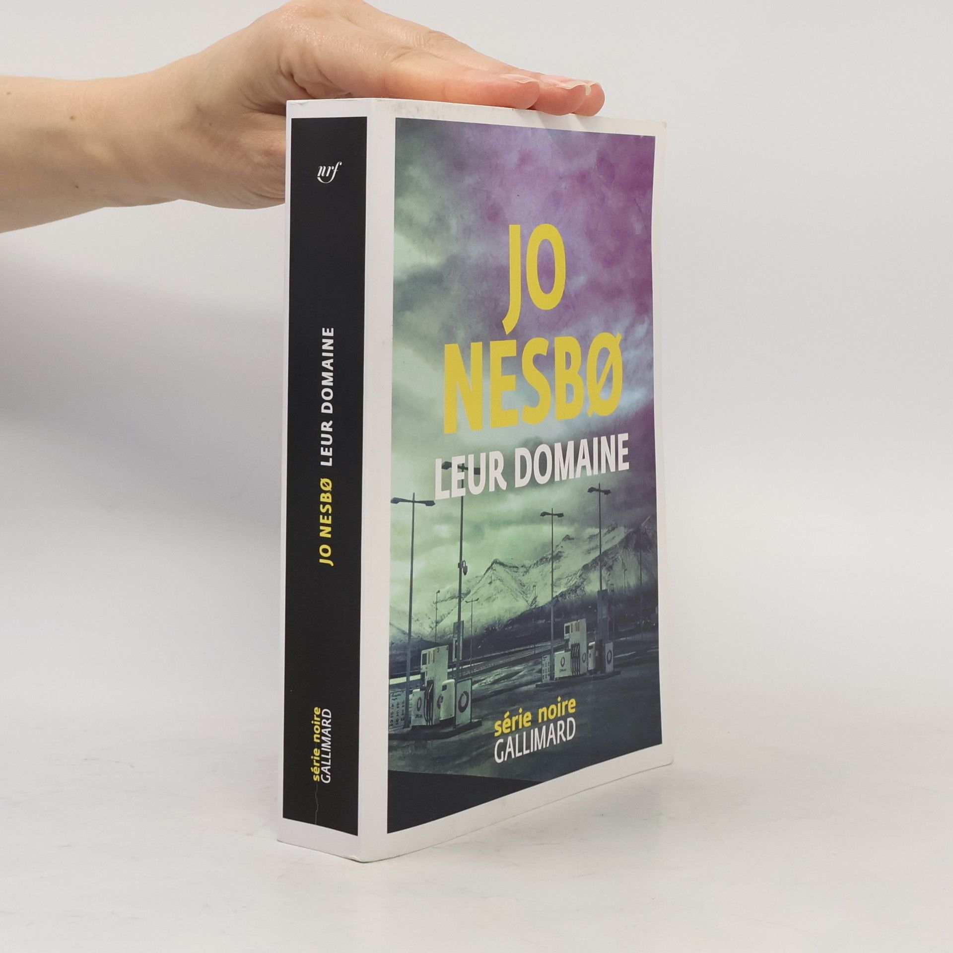 Jo Nesbø Série noire: Leur domaine