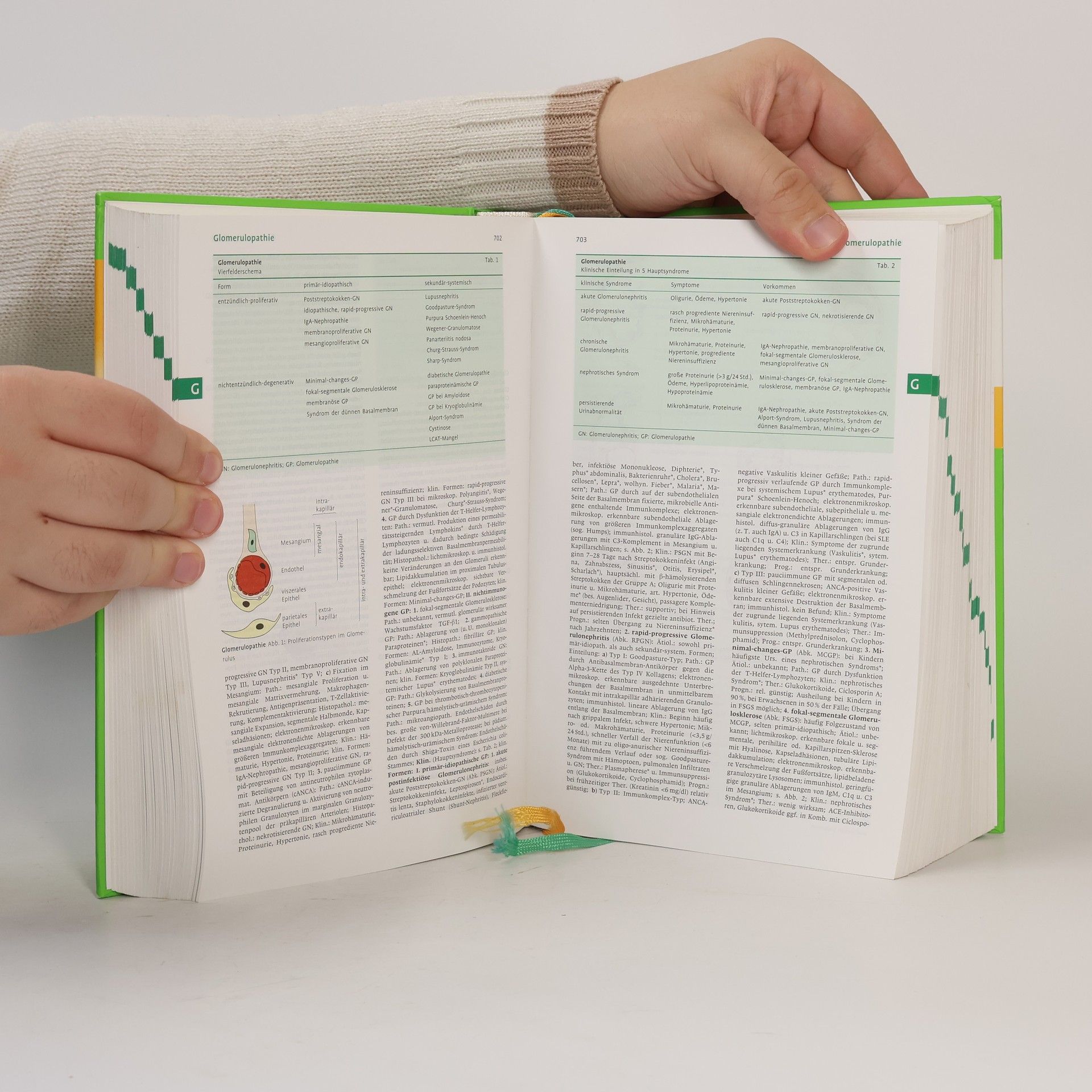 Willibald Pschyrembel Pschyrembel Klinisches Wörterbuch