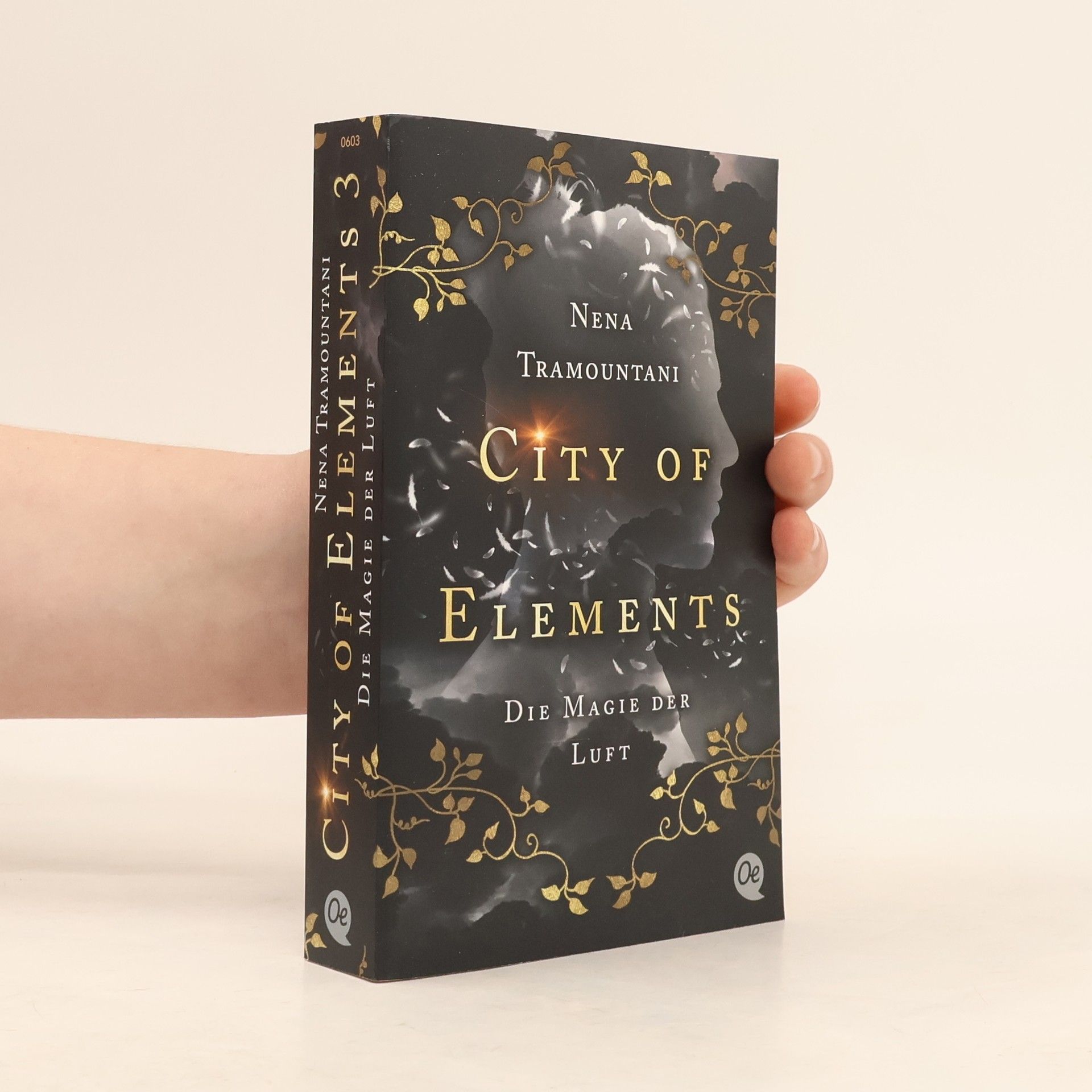 Die Magie der Luft / City of Elements Bd.3