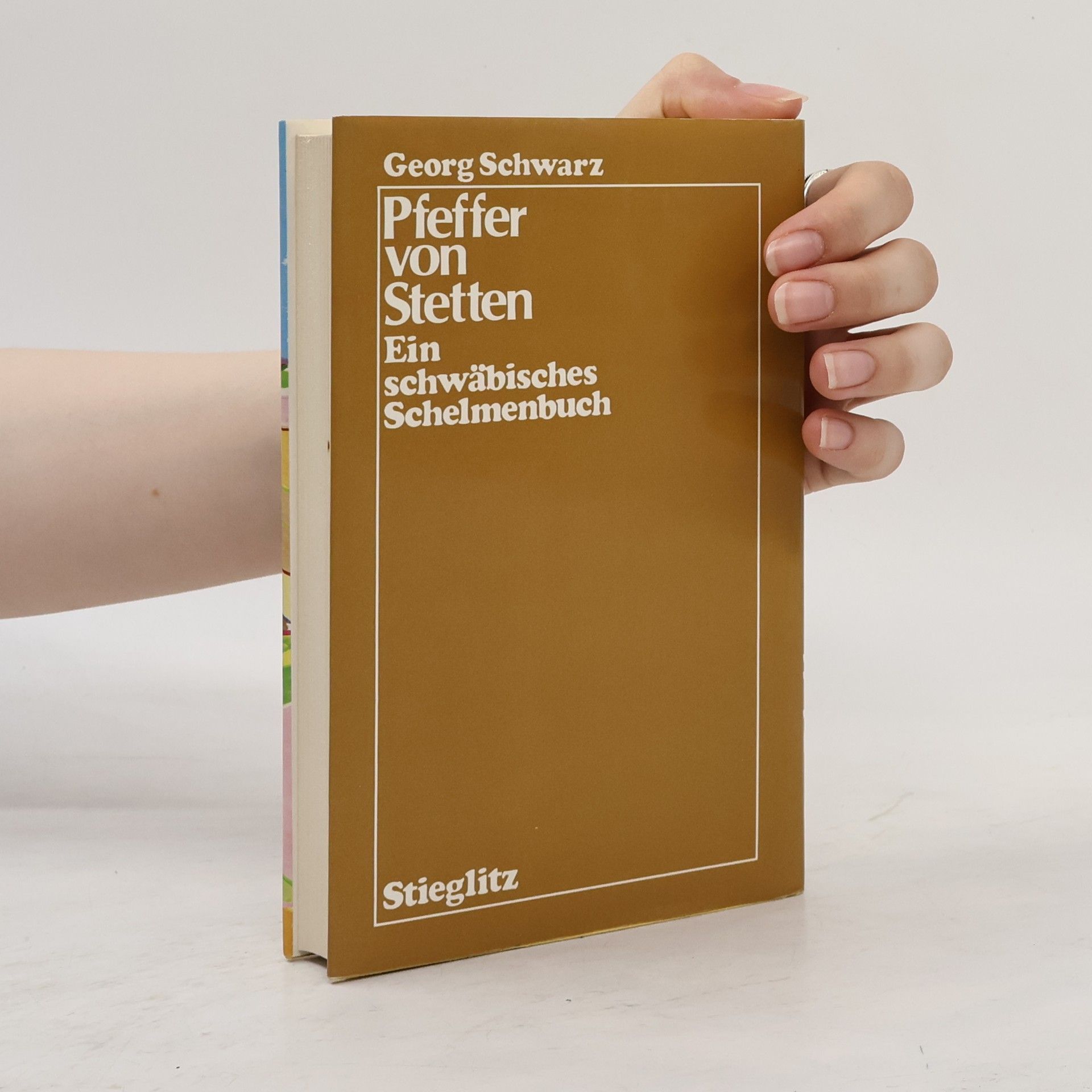 Georg Schwarz Pfeffer von Stetten: Ein schwäbisches Schelmenbuch