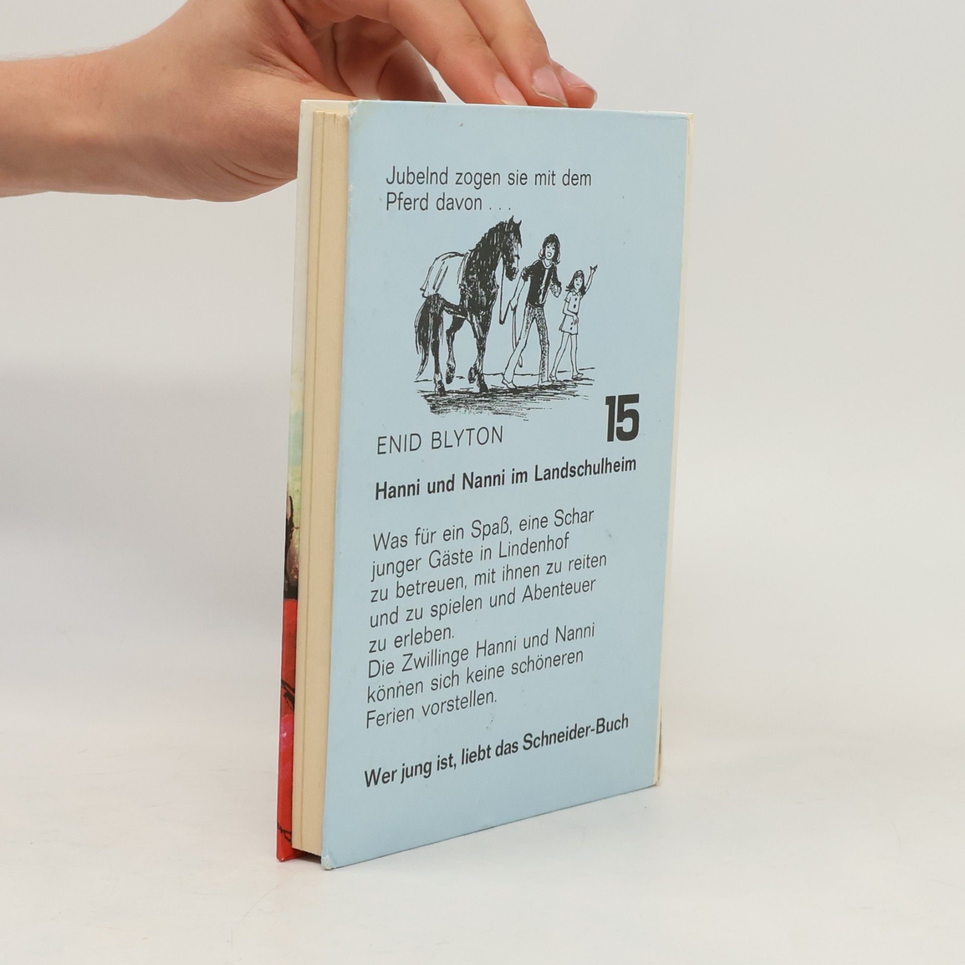 Enid Blyton Hanni und Nanni im Landschulheim