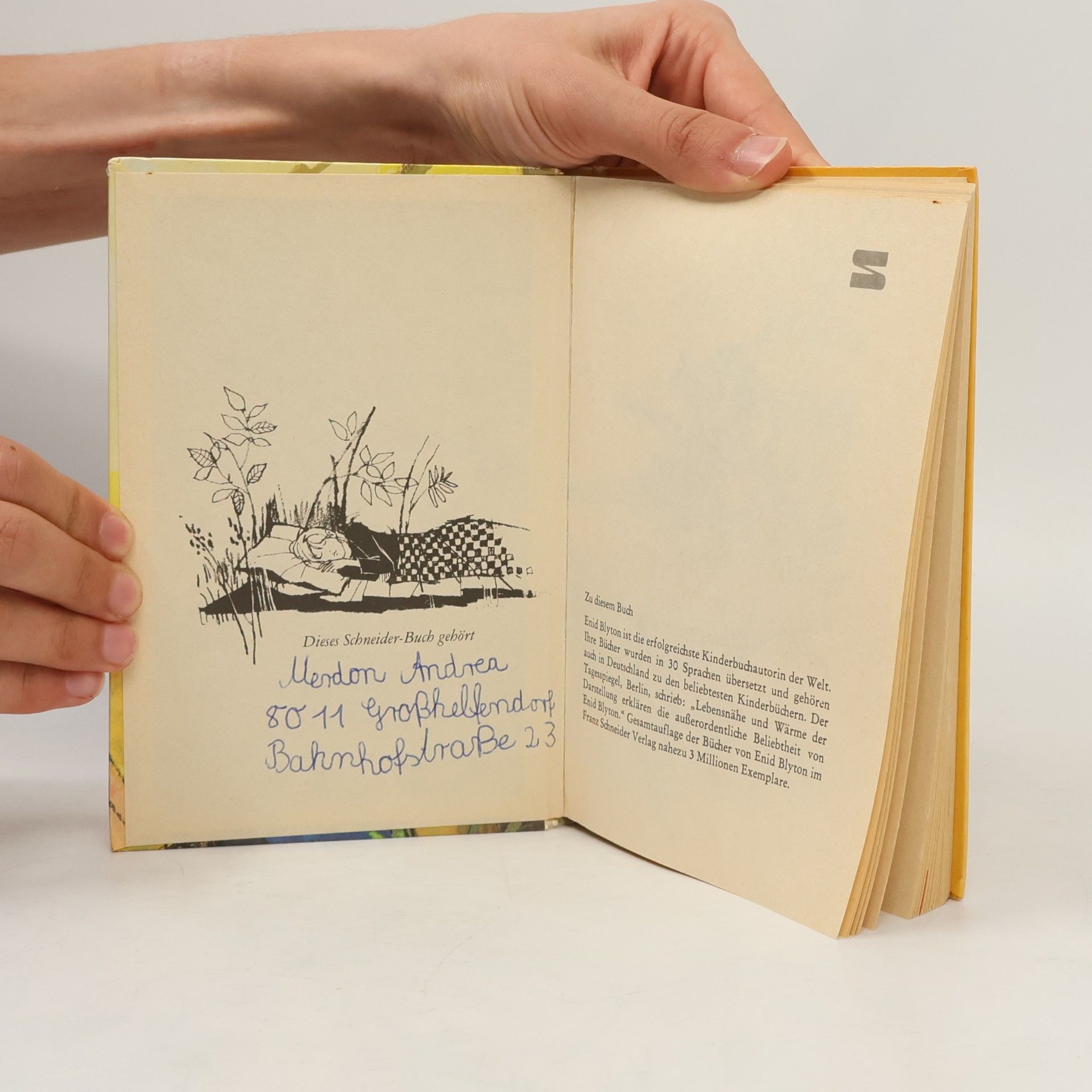 Enid Blyton Hanni und Nanni. Geben nicht auf