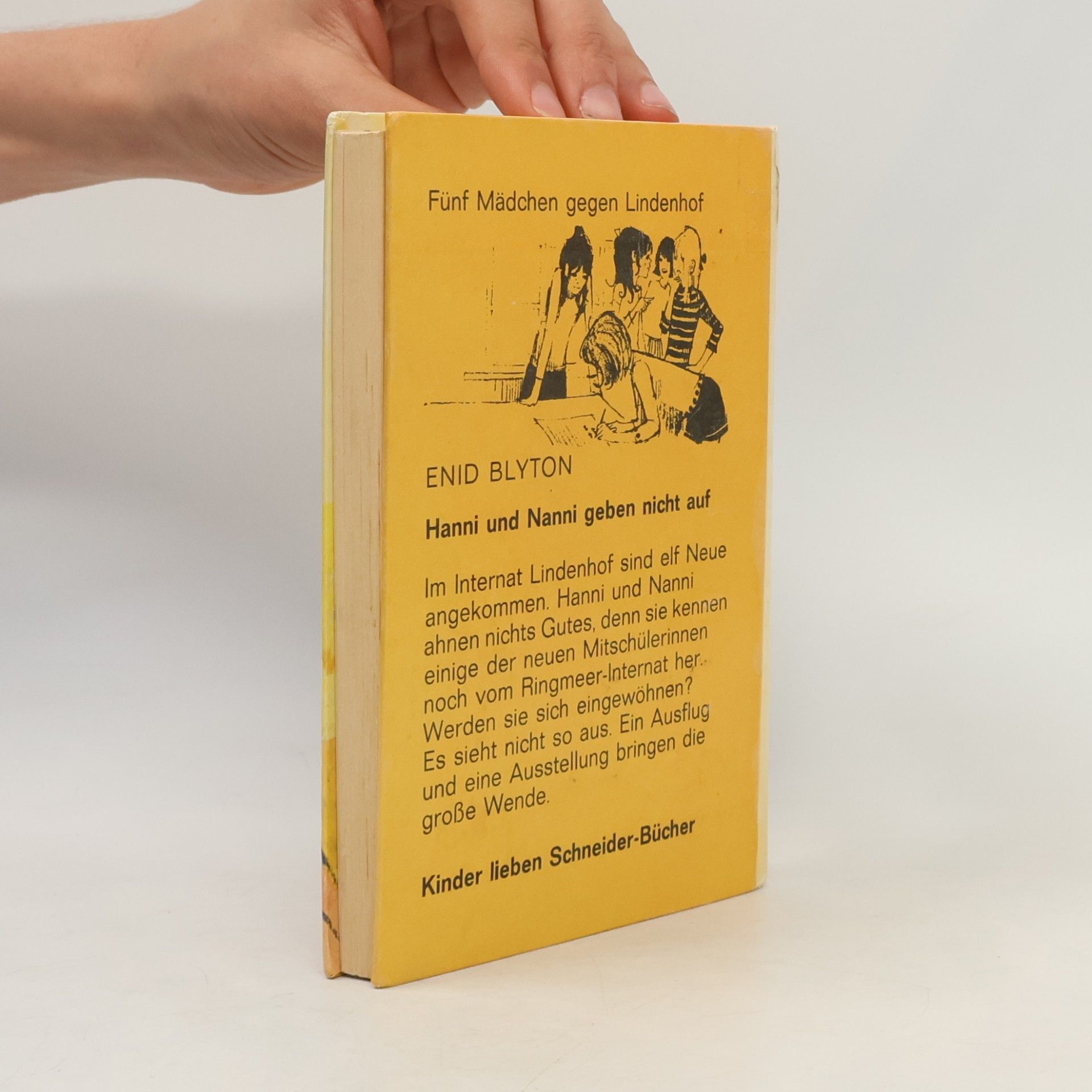 Enid Blyton Hanni und Nanni. Geben nicht auf