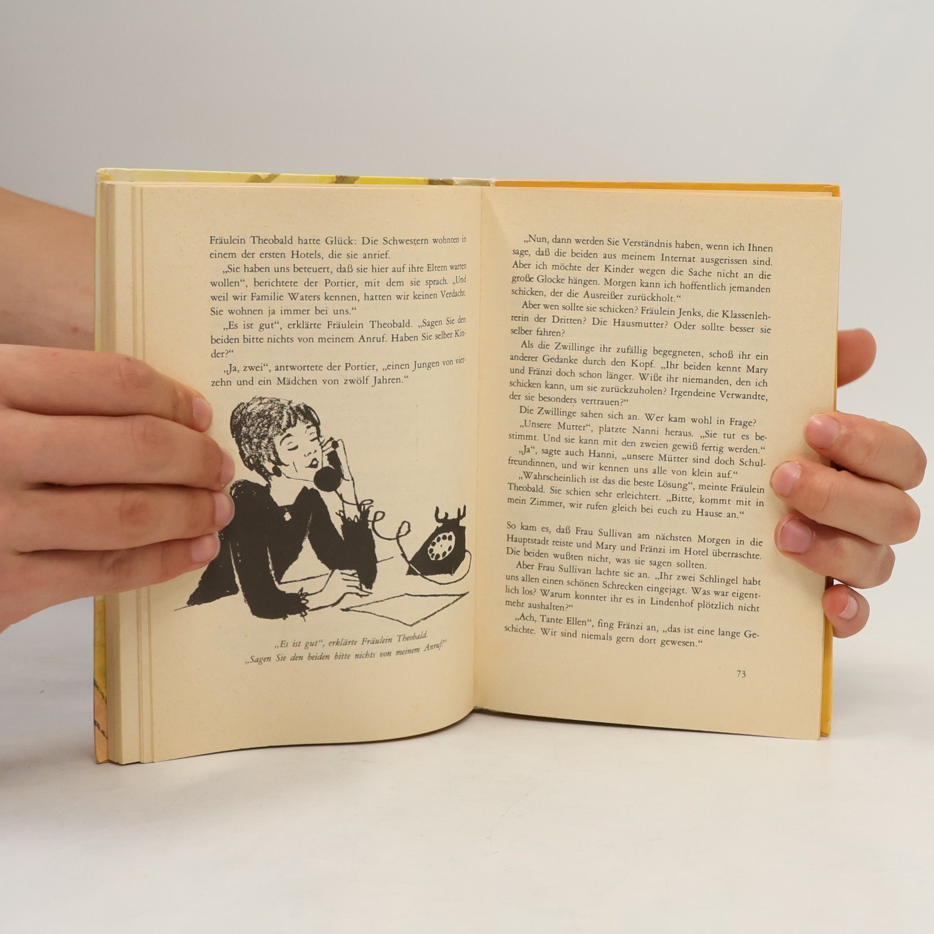 Enid Blyton Hanni und Nanni. Geben nicht auf
