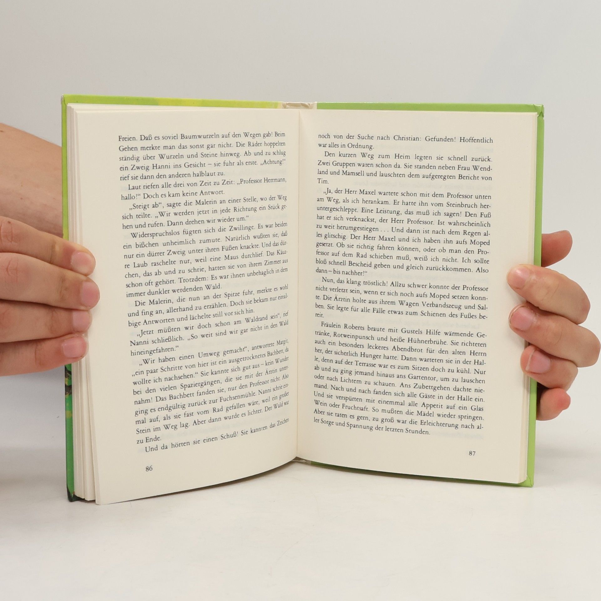 Enid Blyton Hanni und Nanni und ihre Gäste