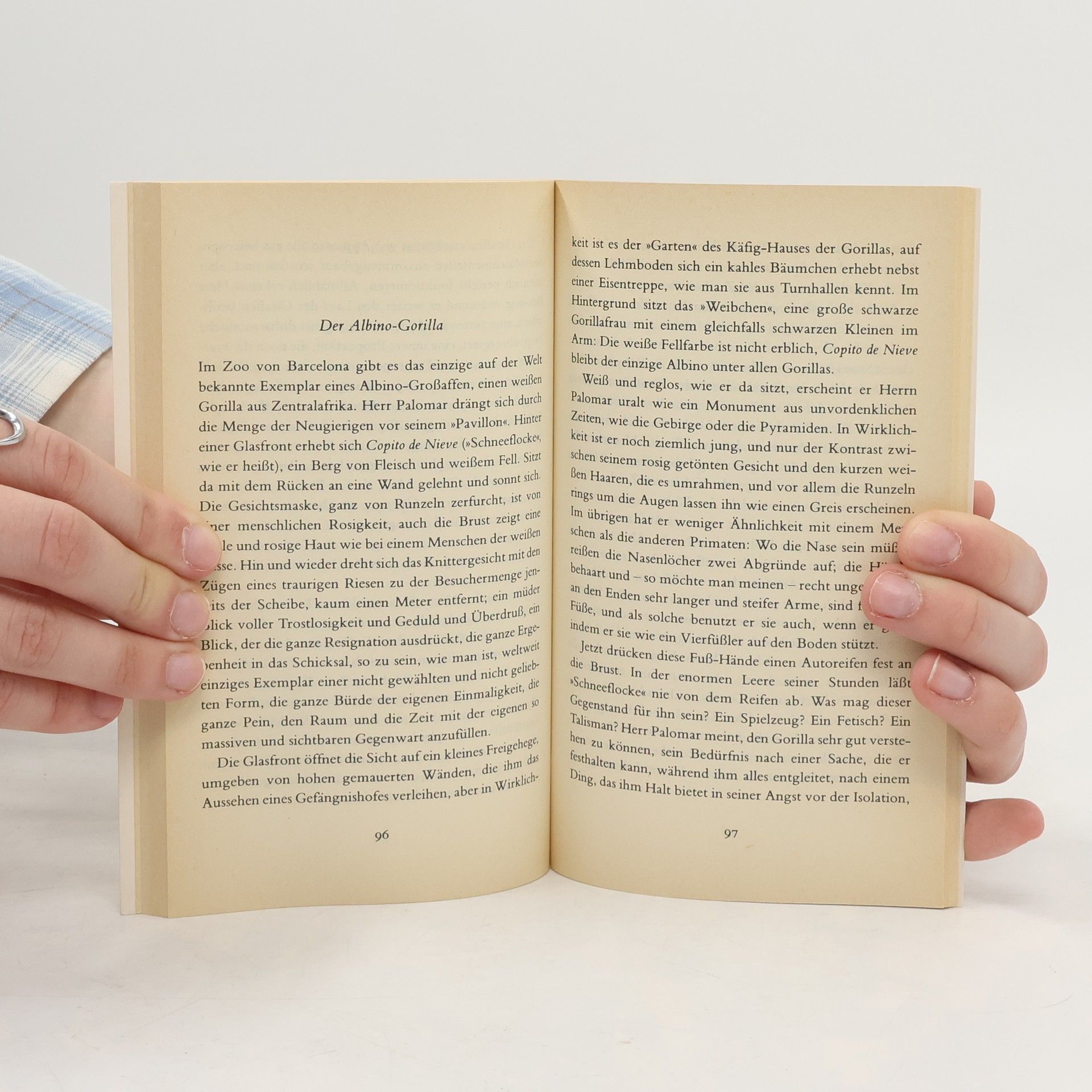 Italo Calvino Herr Palomar