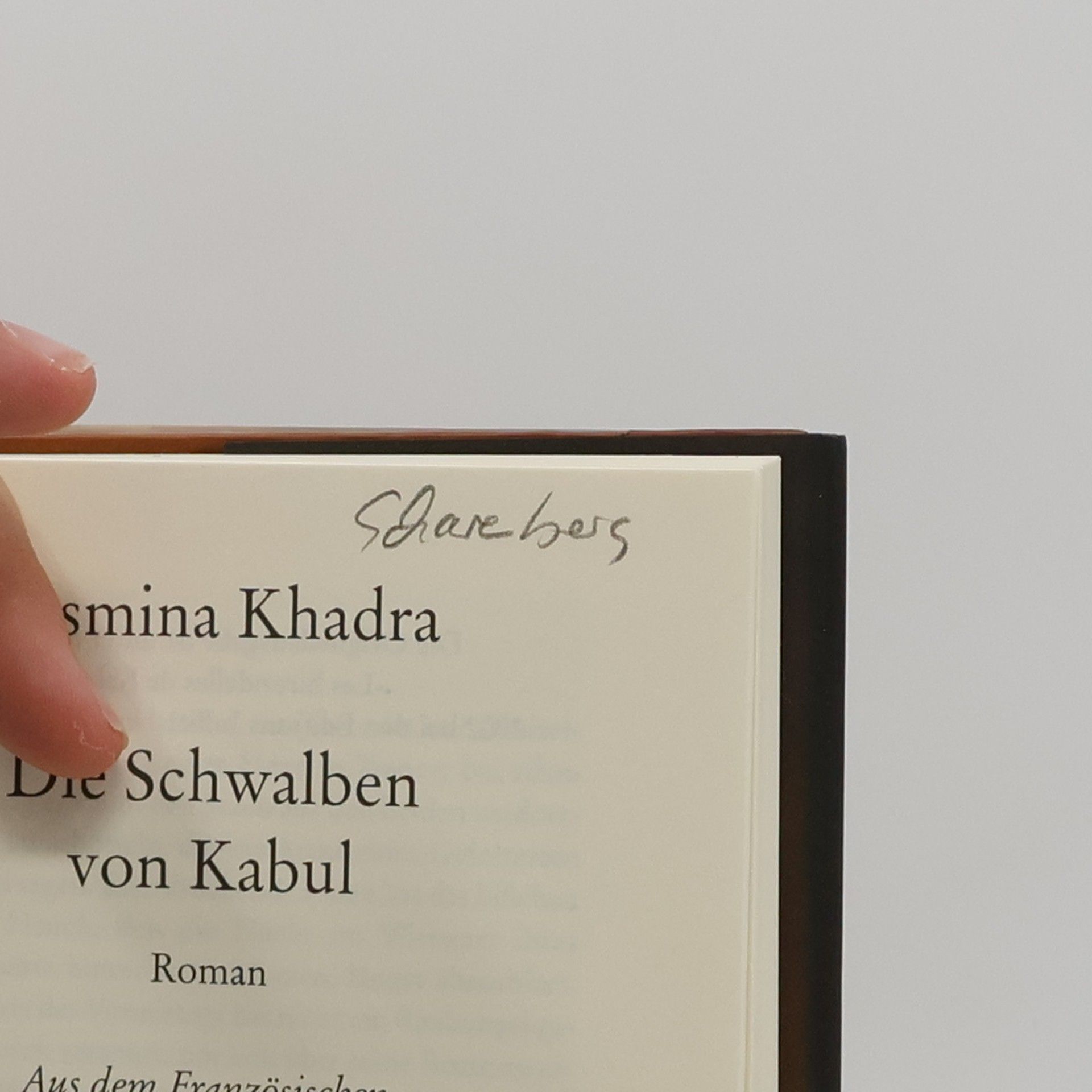Yasmina Khadra Die Schwalben von Kabul