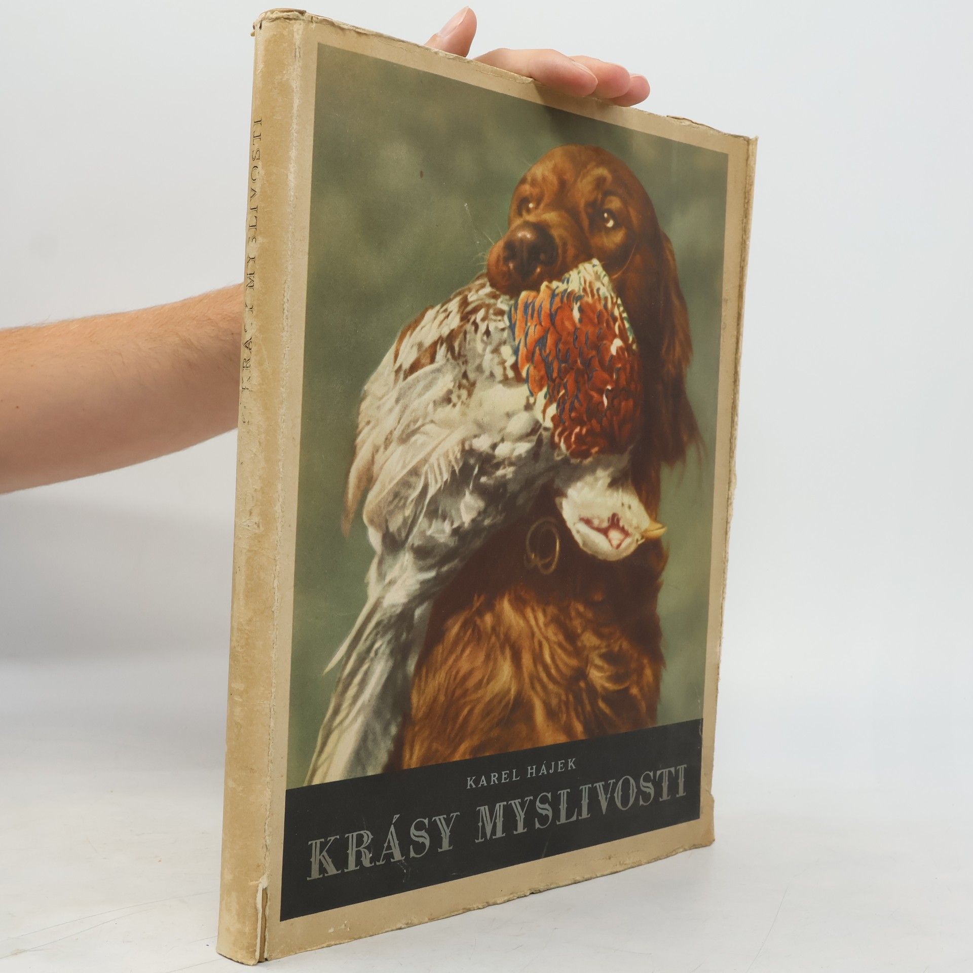 Karel Hájek Krásy myslivosti