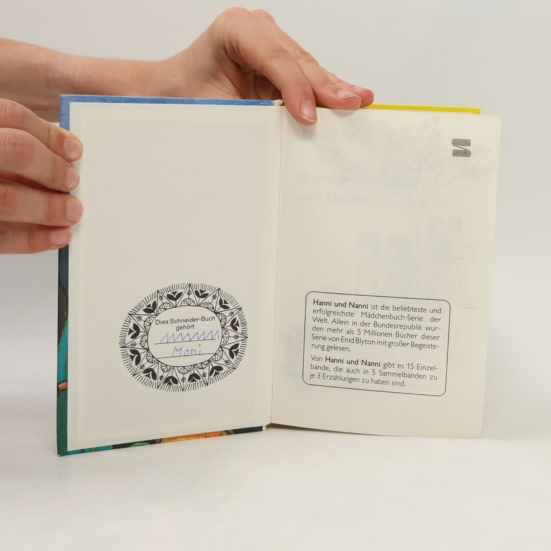 Enid Blyton Lustige Streiche mit Hanni und Nanni