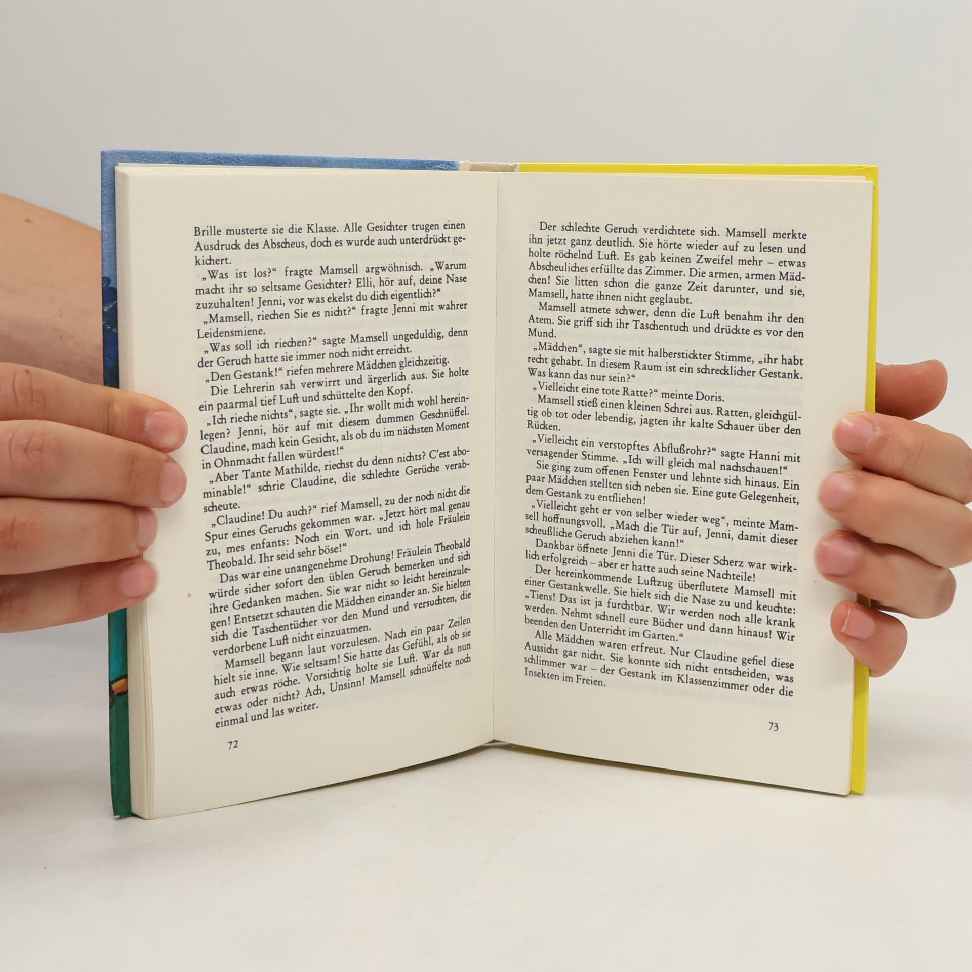 Enid Blyton Lustige Streiche mit Hanni und Nanni