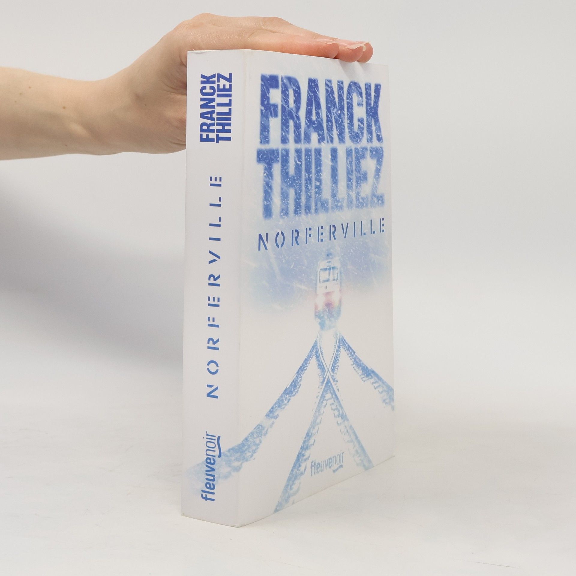 Franck Thilliez Fleuve noir: Norferville