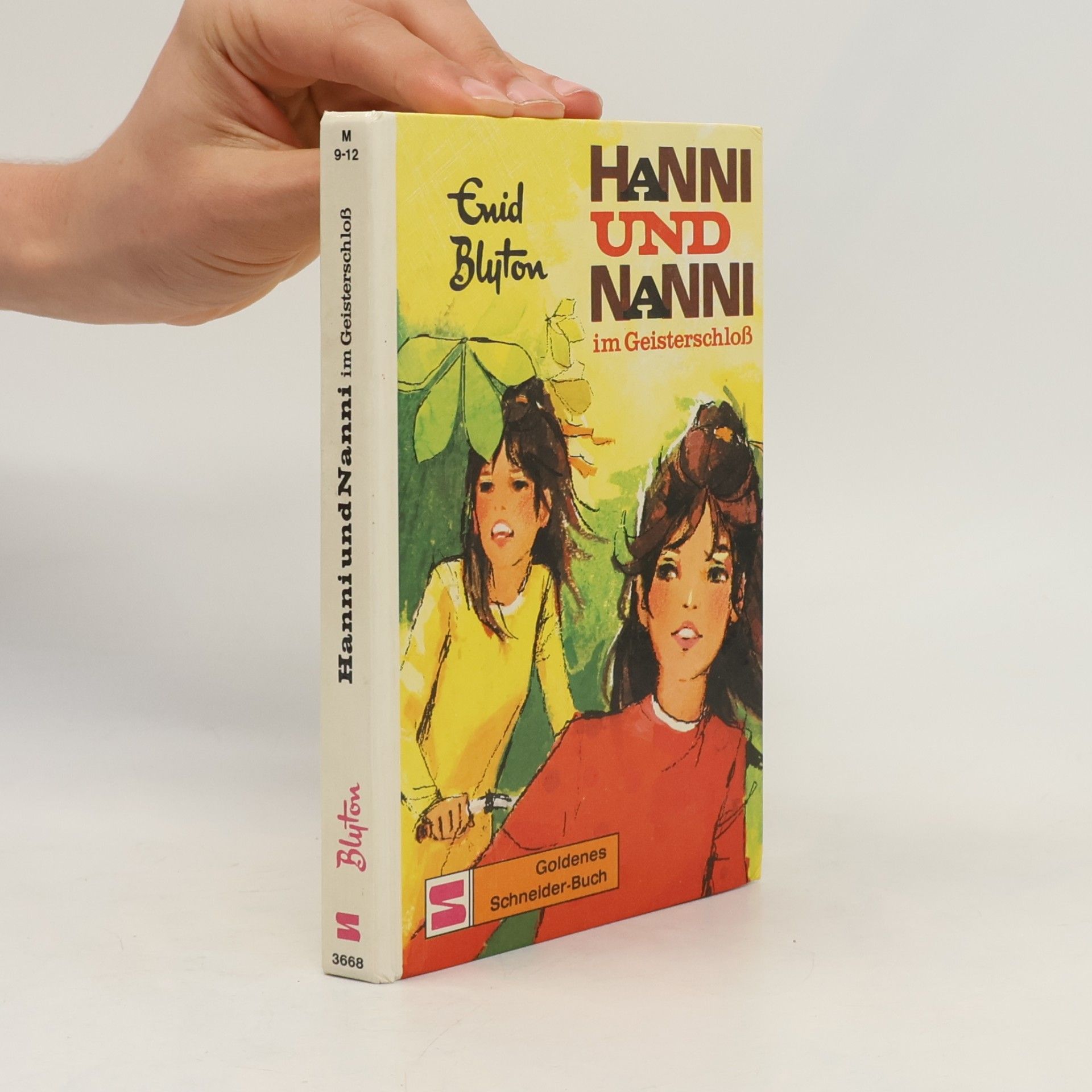 Enid Blyton Hanni und Nanni im Geisterschloß