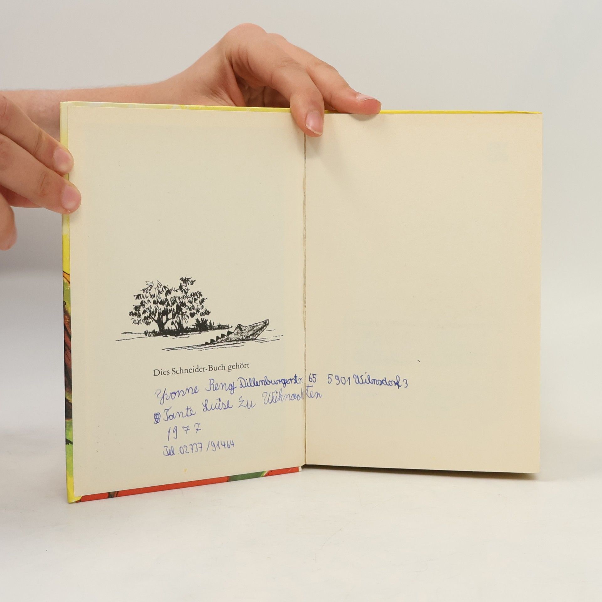 Enid Blyton Hanni und Nanni im Geisterschloß