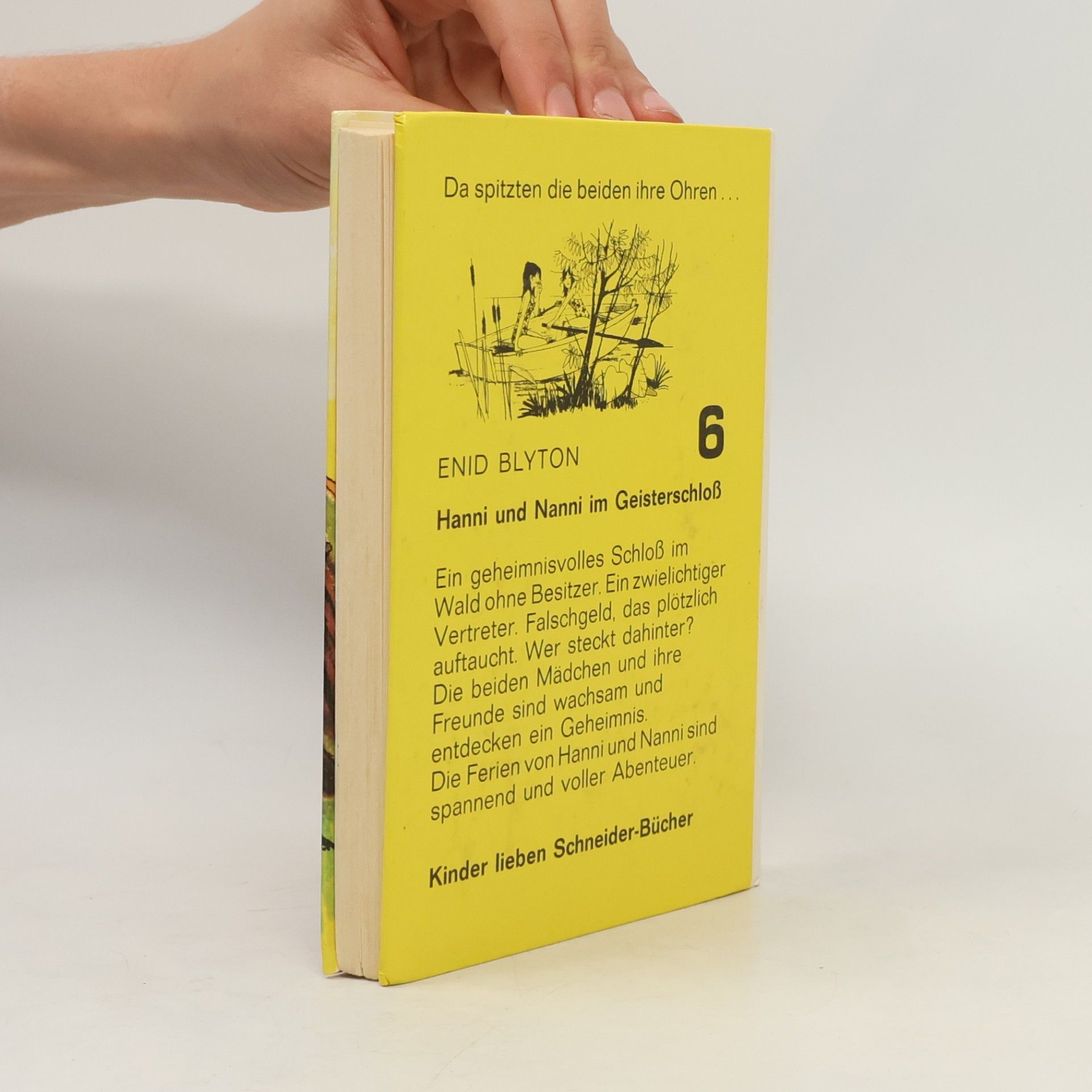 Enid Blyton Hanni und Nanni im Geisterschloß